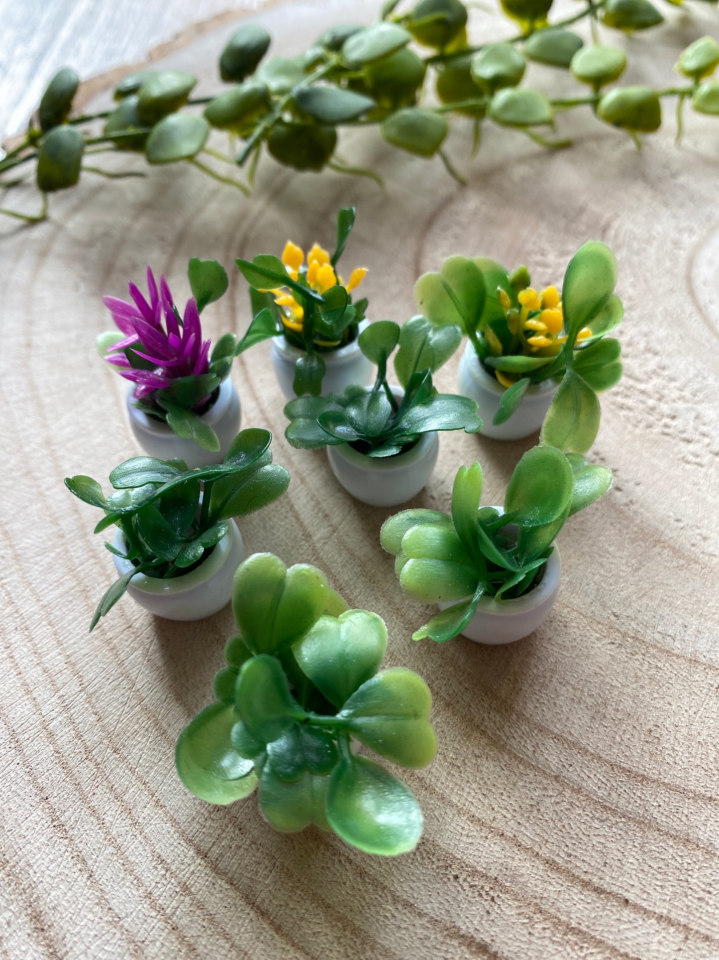 A small selection of tiny artificial plants on a wooden surface