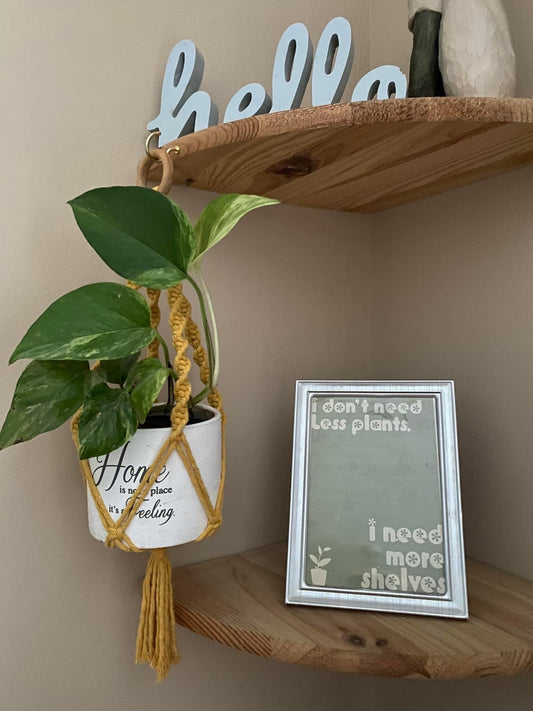 A small green leafy plant, in a white ceramic pot, suspended in a mustard yellow macrame plant hanger, from a hook on a wooden corner shelf. On the shelf next to the plant hanger is a framed print, and on the shelf above is a wooden sign that says "hello"