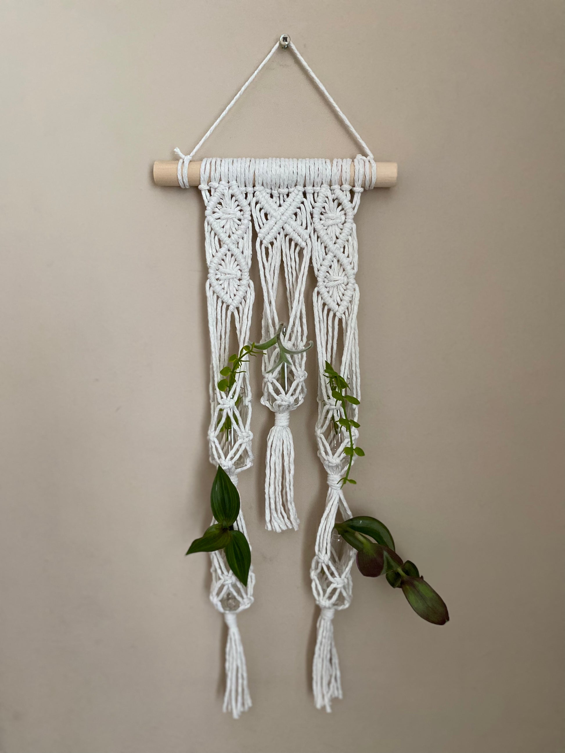 Macra-Made With Love Macrame wall hanger houseplant propagation station made in natural coloured yarn on a wooden dowel, holding 5 small green plant cuttings in glass tubes, against a beige wall.