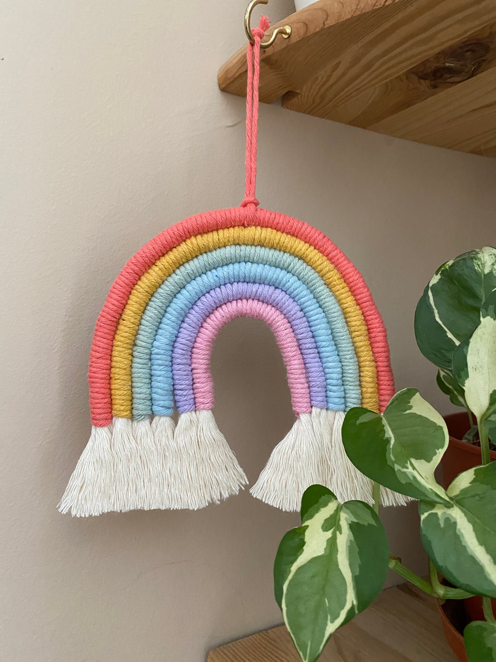Handmade pastel macrame rainbow hanging from a wooden shelf next to a variegated houseplant.