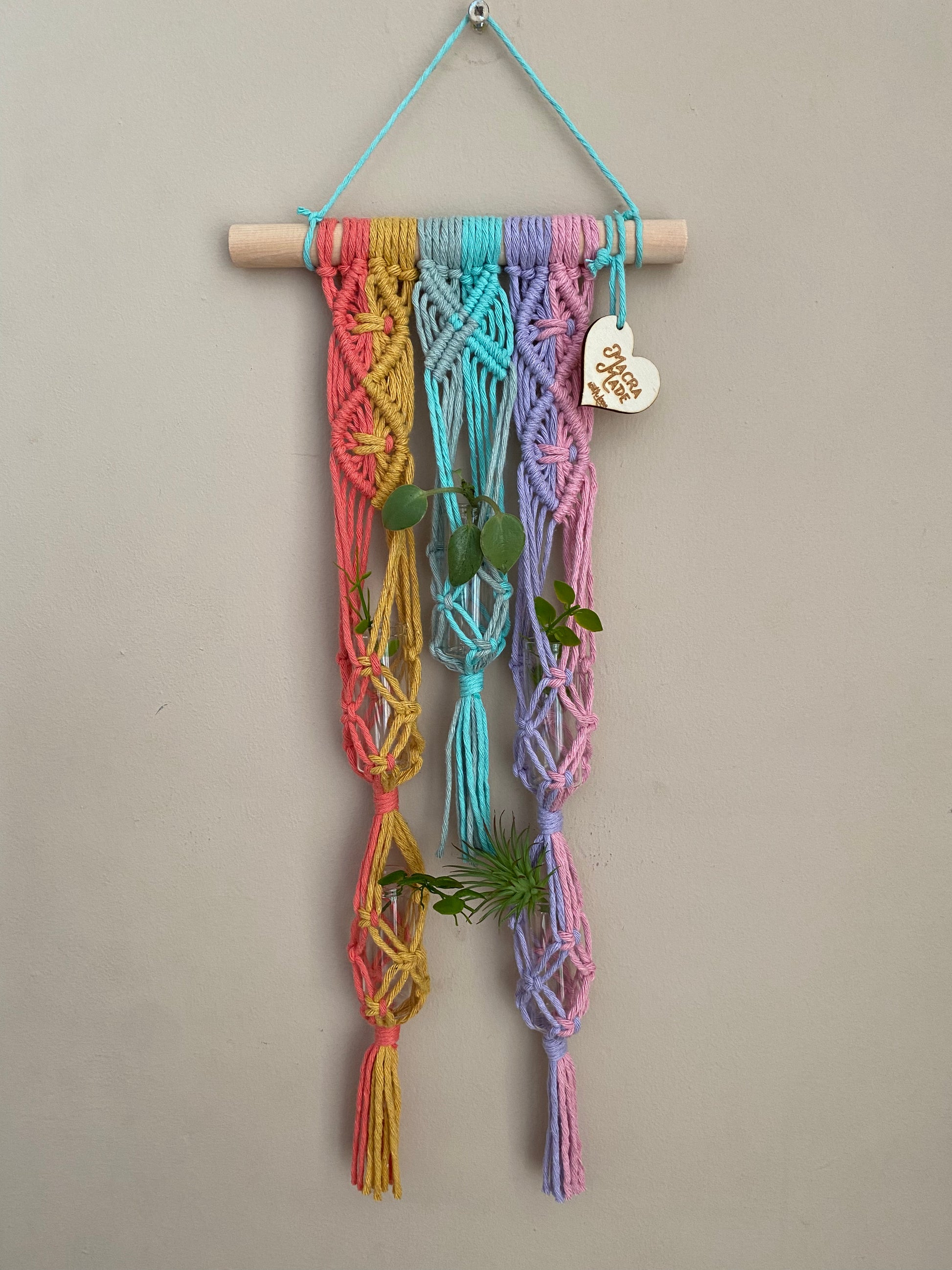 Macra-Made With Love Macrame wall hanging houseplant propagation station made with pastel rainbow coloured yarn and a small wooden dowel.