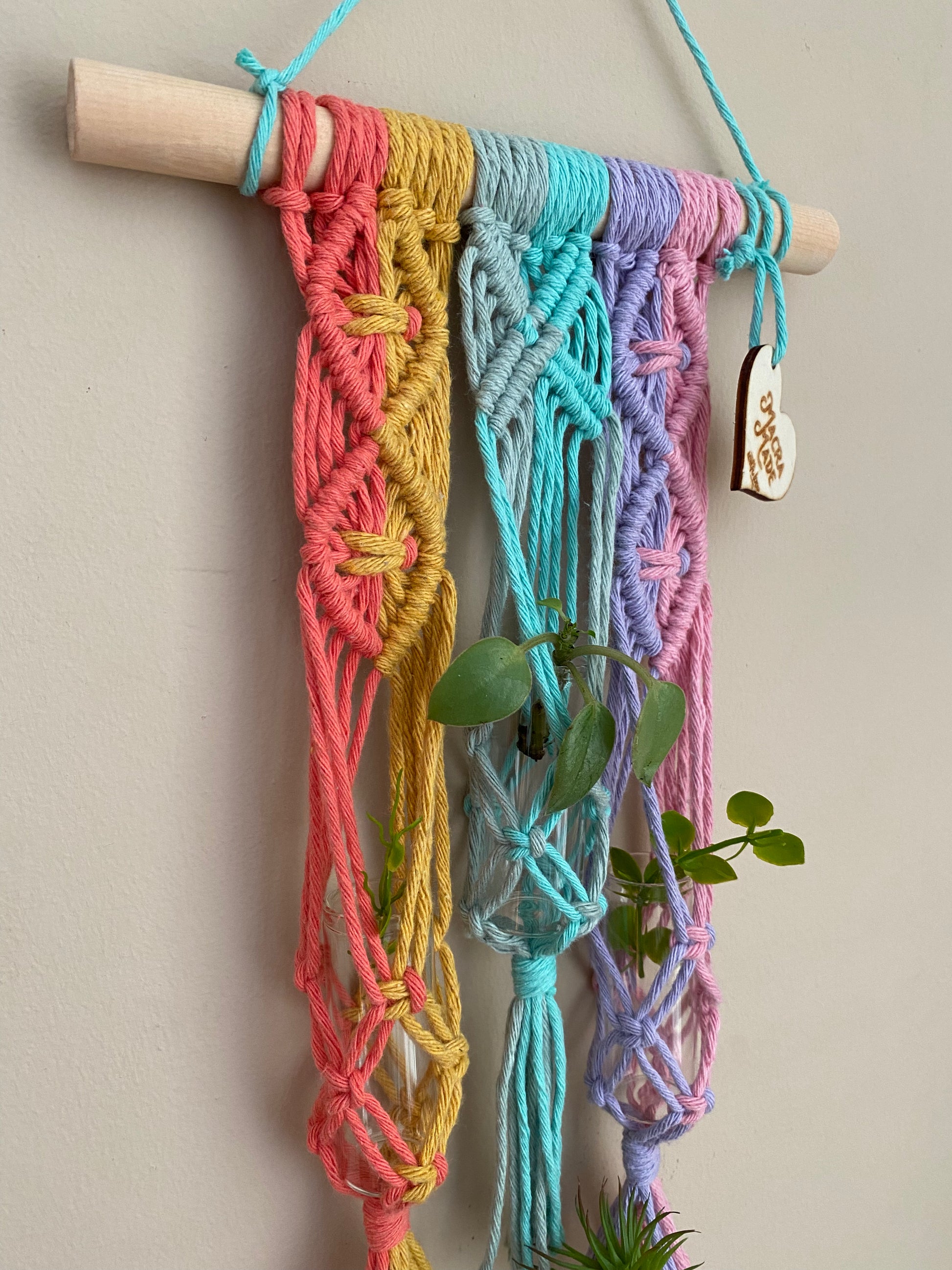 Close up side angle of a macrame knotted wall hanging houseplant propagation station made with pastel rainbow coloured yarn on a wooden dowel.