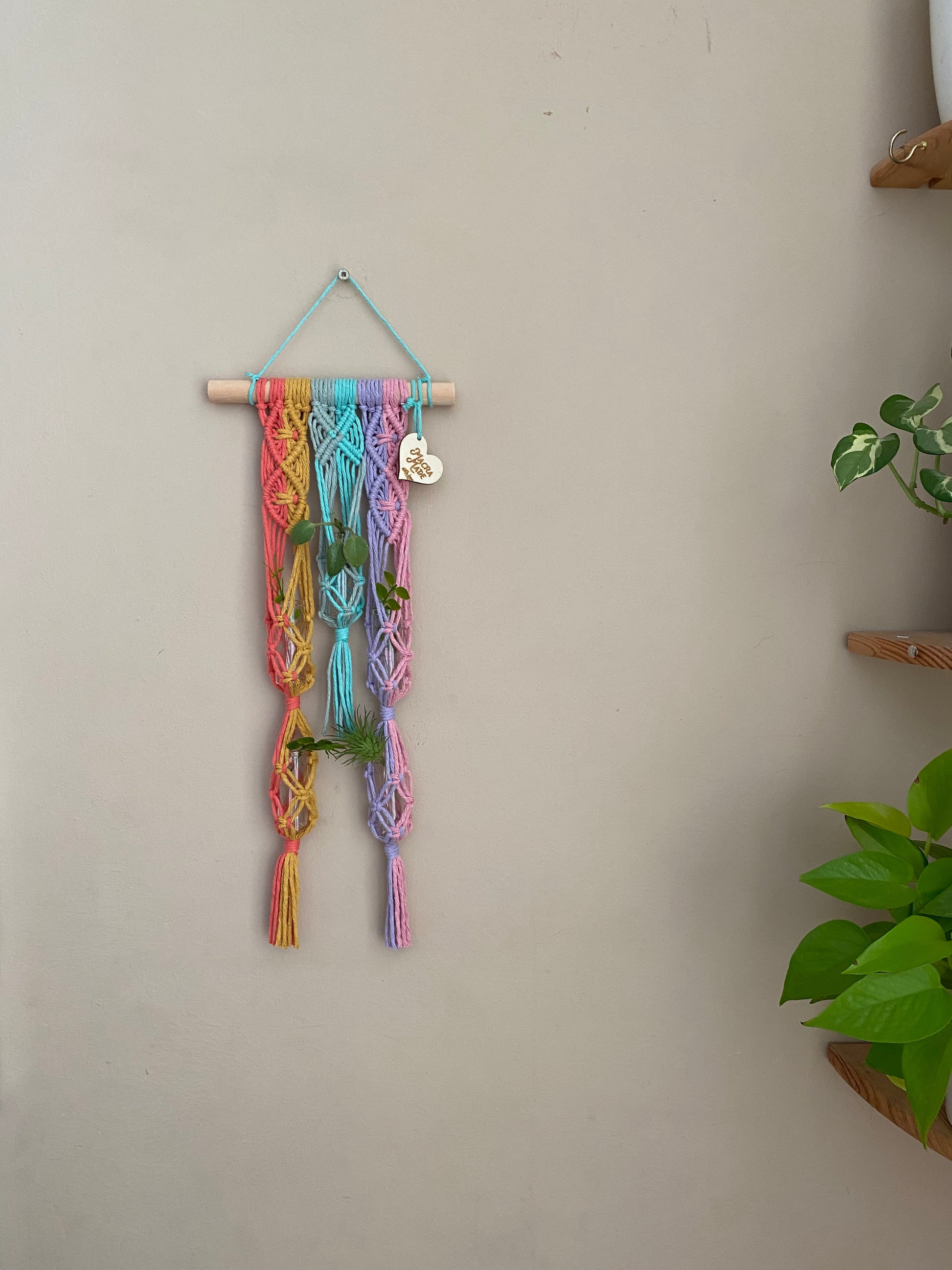 Macra-Made With Love Macrame wall hanging houseplant propagation station made with pastel rainbow coloured yarn on a wooden dowel, displayed on a beige wall, holding 5 small green plant cuttings.