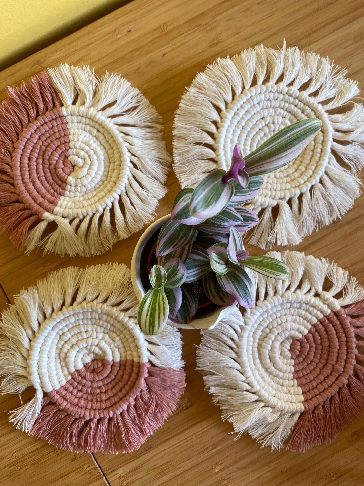 A set of 4 round macrame coasters made with blush pink and natural yarns, with a soft fringed edge, are placed on a wooden table, with a small Tradescantia plant placed in the middle of the coasters.