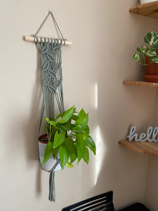 A large bright green plants hangs inside a sage green wall hanging macrame plant hanger with knotted leaf pattern, made with cotton yarn on a wooden dowel