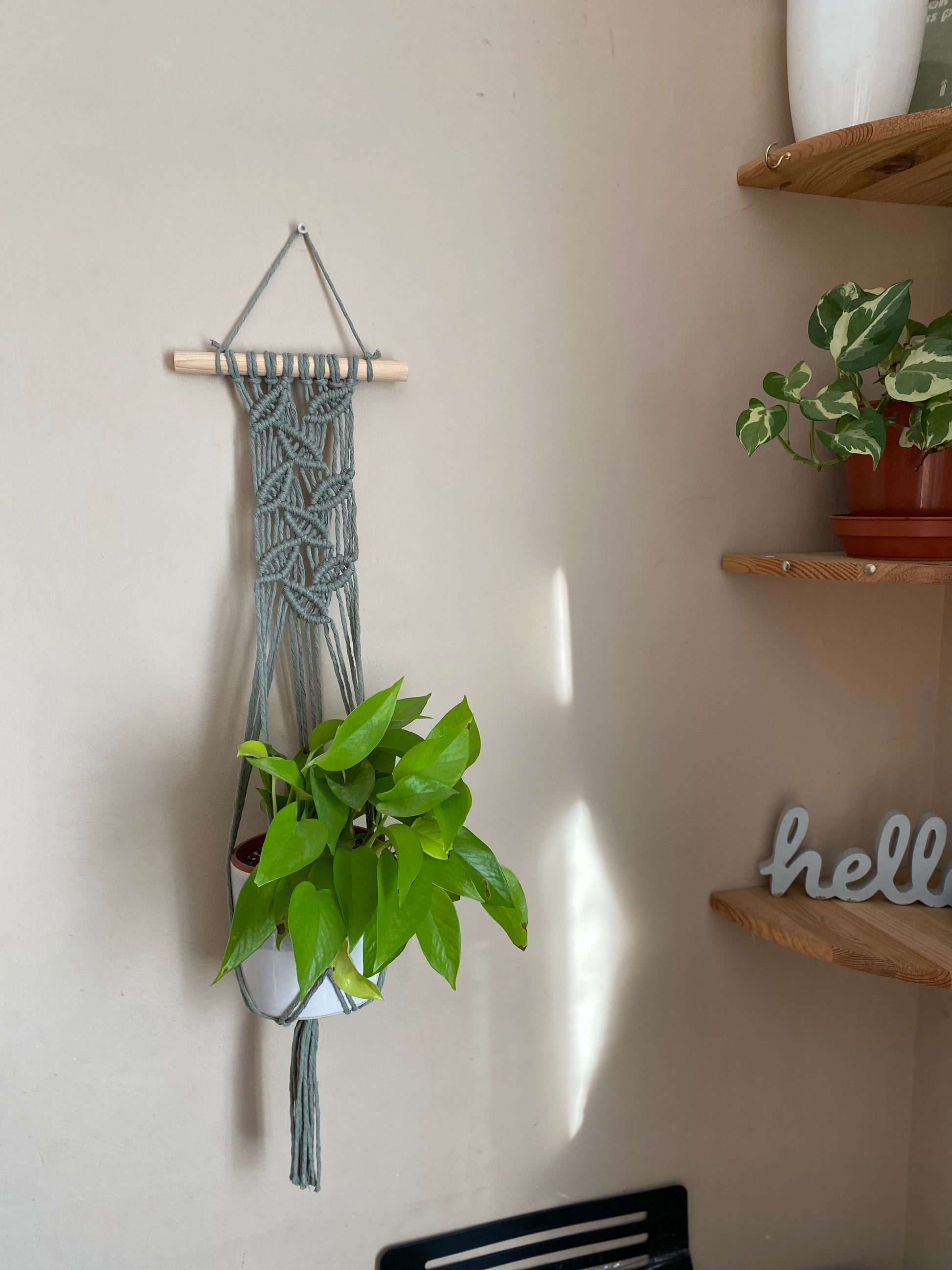 A bright green plant hangs inside a sage green wall hanging macrame plant hanger beside a set of wooden corner shelves.