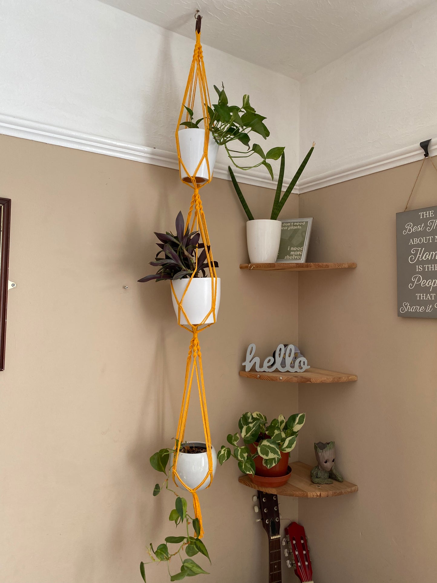 Three large green plants in ceramic plant pots, hang vertically in a handmade macrame triple plant hanger, made with bright amber yellow coloured yarn, suspended from the ceiling with a wooden ring.