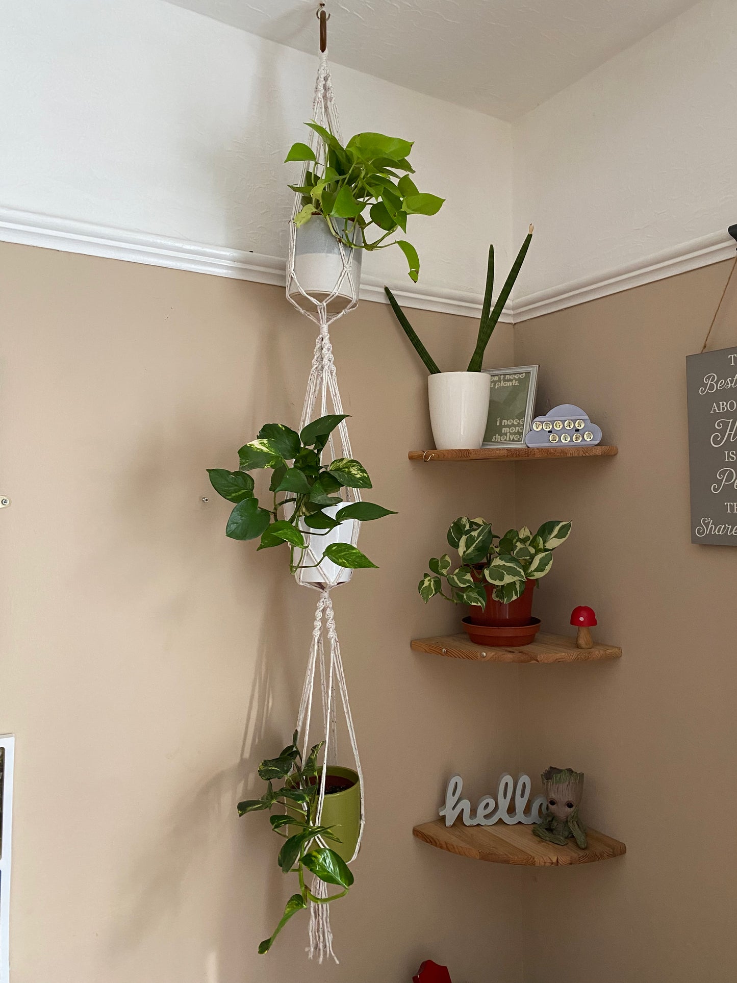 Three large green plants in ceramic plant pots, hang vertically in a handmade macrame triple plant hanger, made with natural coloured yarn, suspended from the ceiling with a wooden ring.