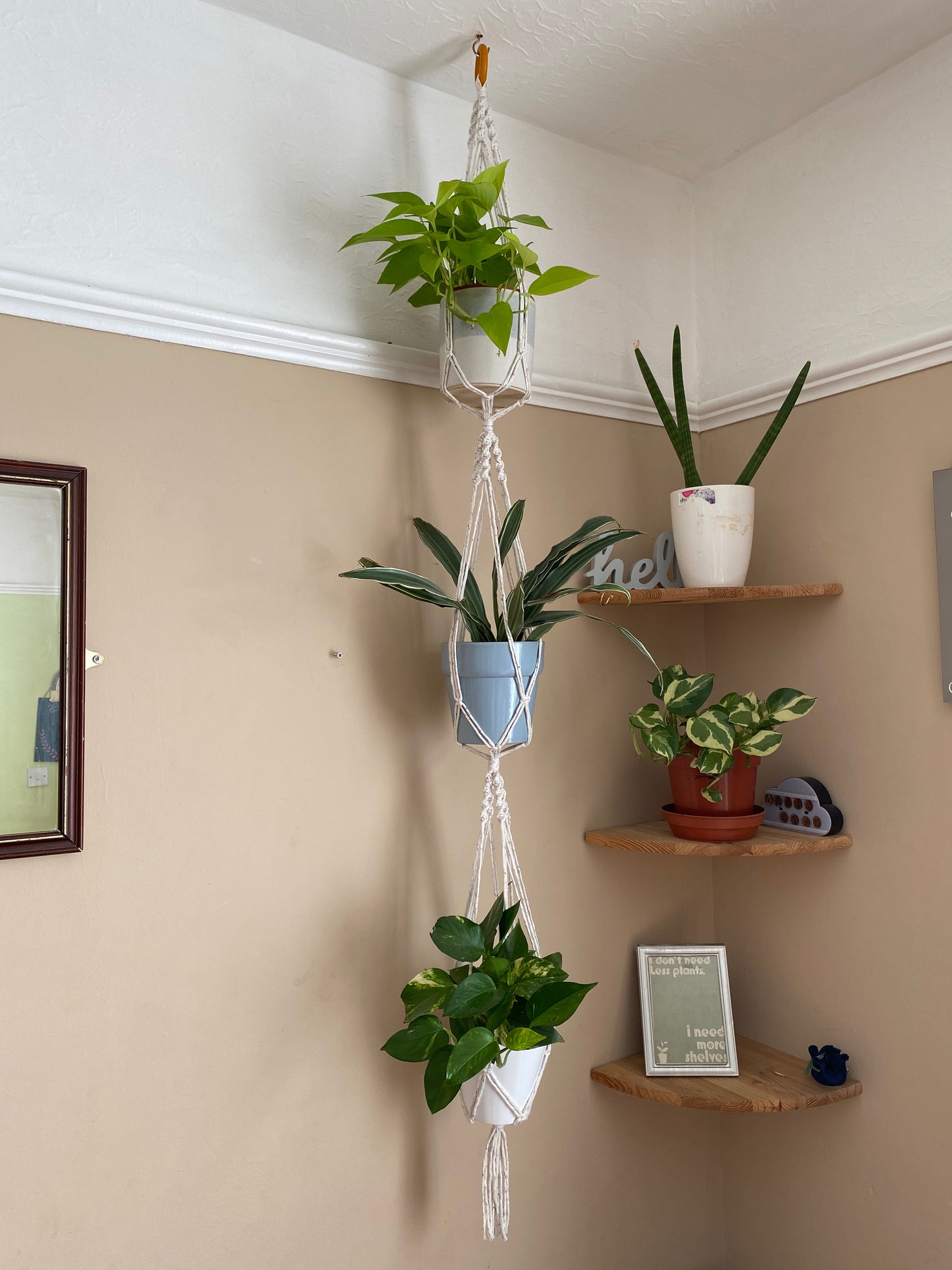 Three large green plants in ceramic plant pots, hang vertically in a handmade macrame triple plant hanger, made with natural coloured yarn, suspended from the ceiling with a wooden ring.