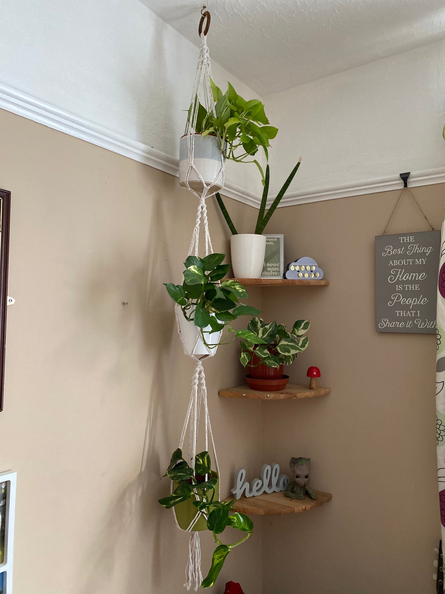 Three large green plants in ceramic plant pots, hang vertically in a handmade macrame triple plant hanger, made with natural coloured yarn, suspended from the ceiling with a wooden ring.