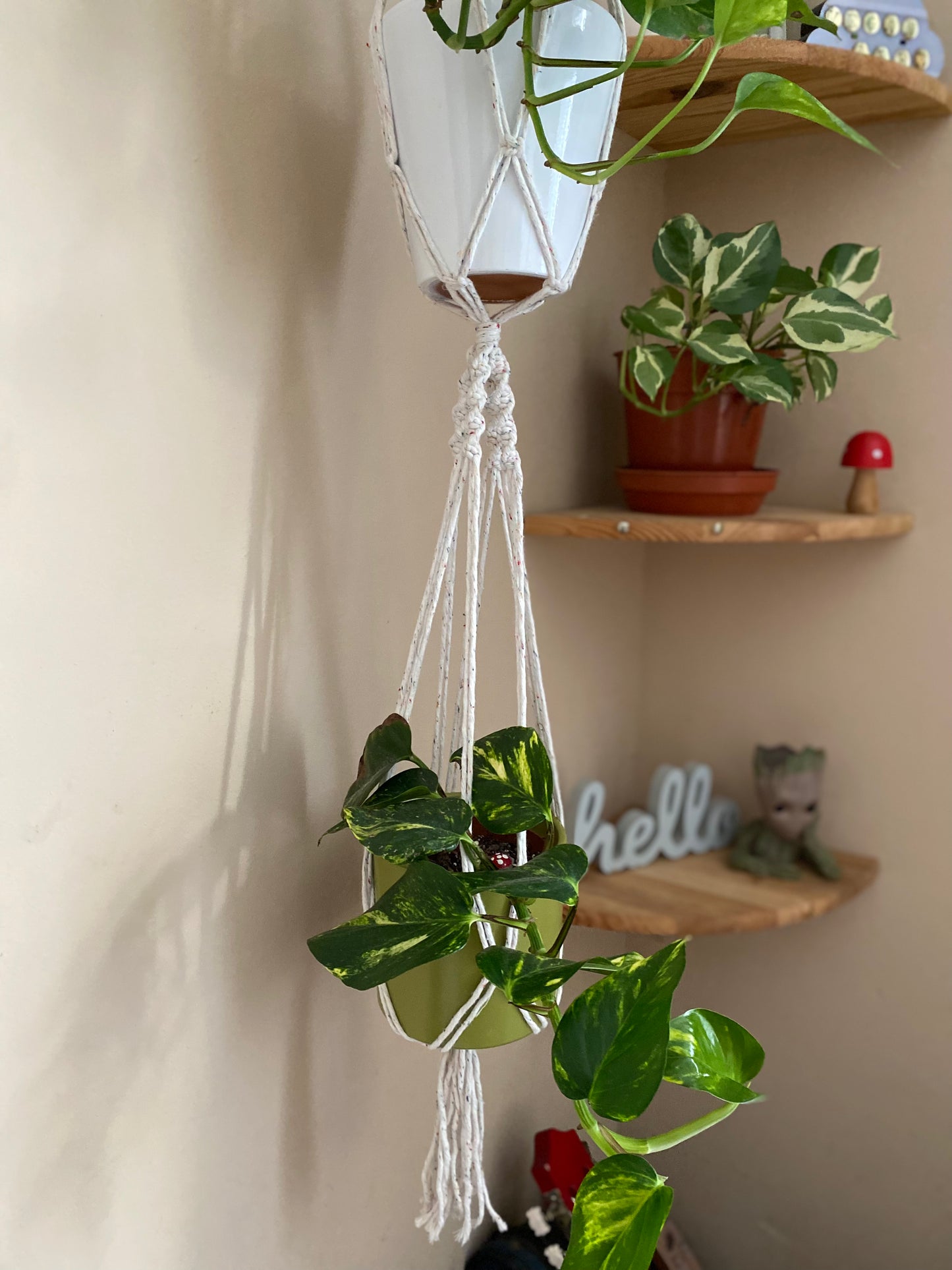 Close up image of the bottom part of a handmade macrame plant hanger, showing multiple plants suspended in the knotted plant hanger. There are corner shelves in the background with more houseplants and ornaments on.