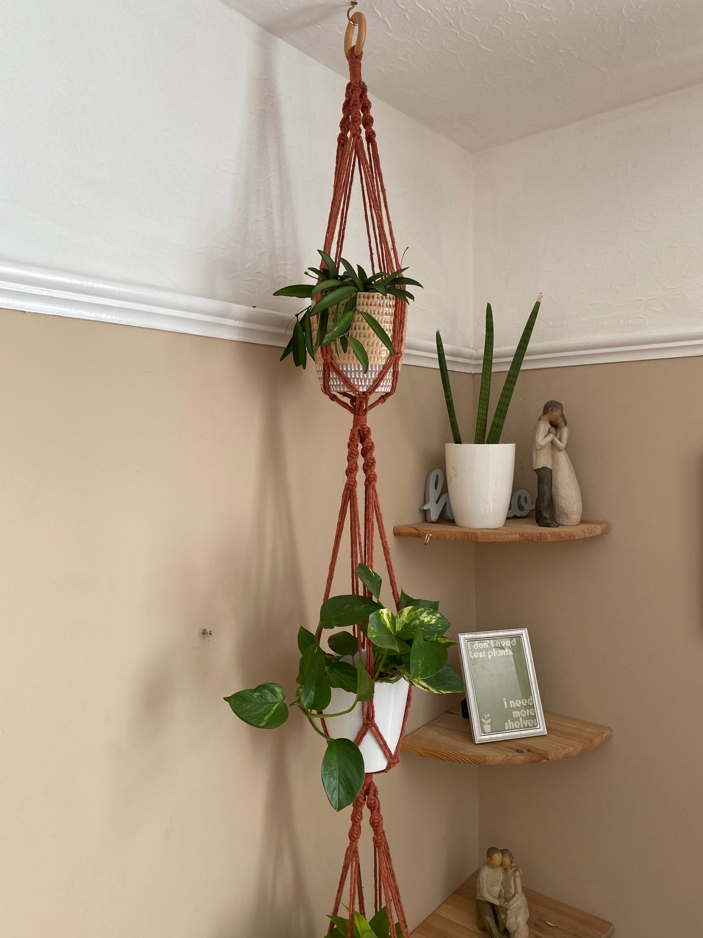 Three large green plants in ceramic plant pots, hang vertically in a handmade macrame triple plant hanger, made with terracotta coloured yarn, suspended from the ceiling with a wooden ring.