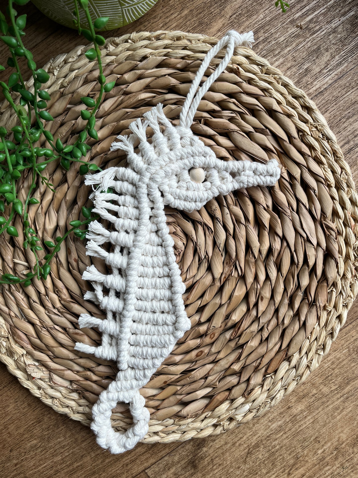 Macrame Seahorse Wall Hanging