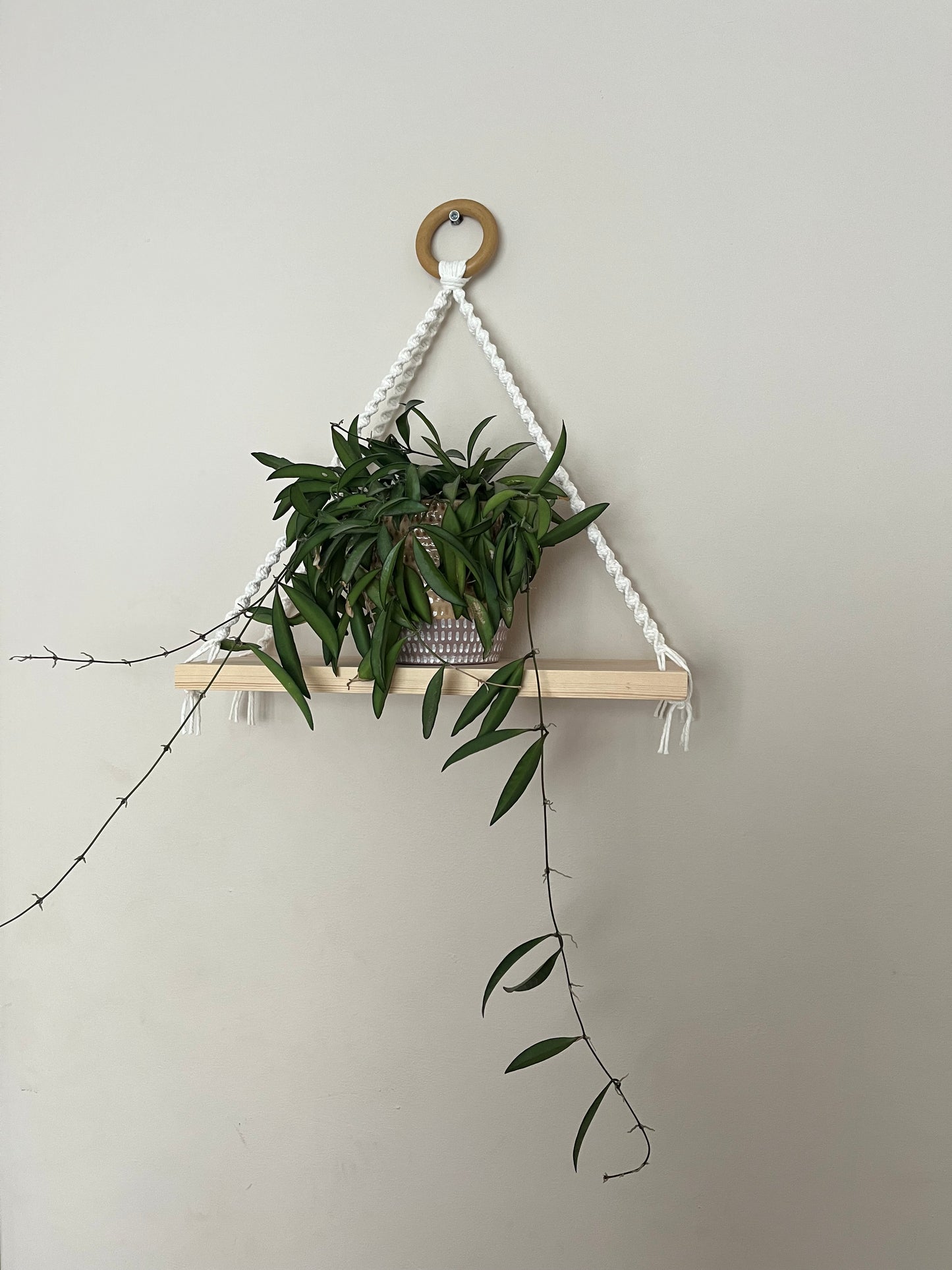 Macrame Rope Shelf