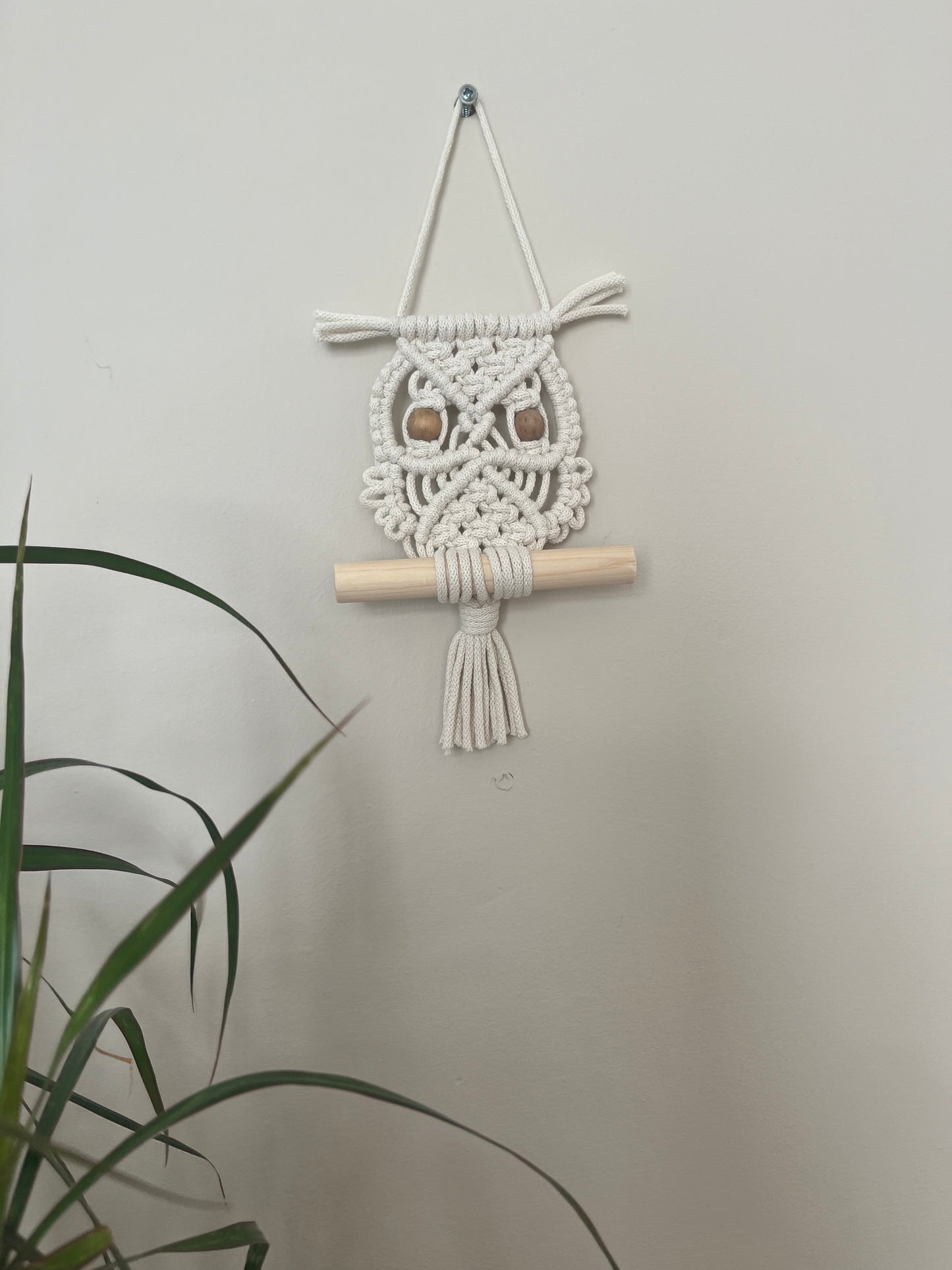 Macramé Owl Wall Hanging