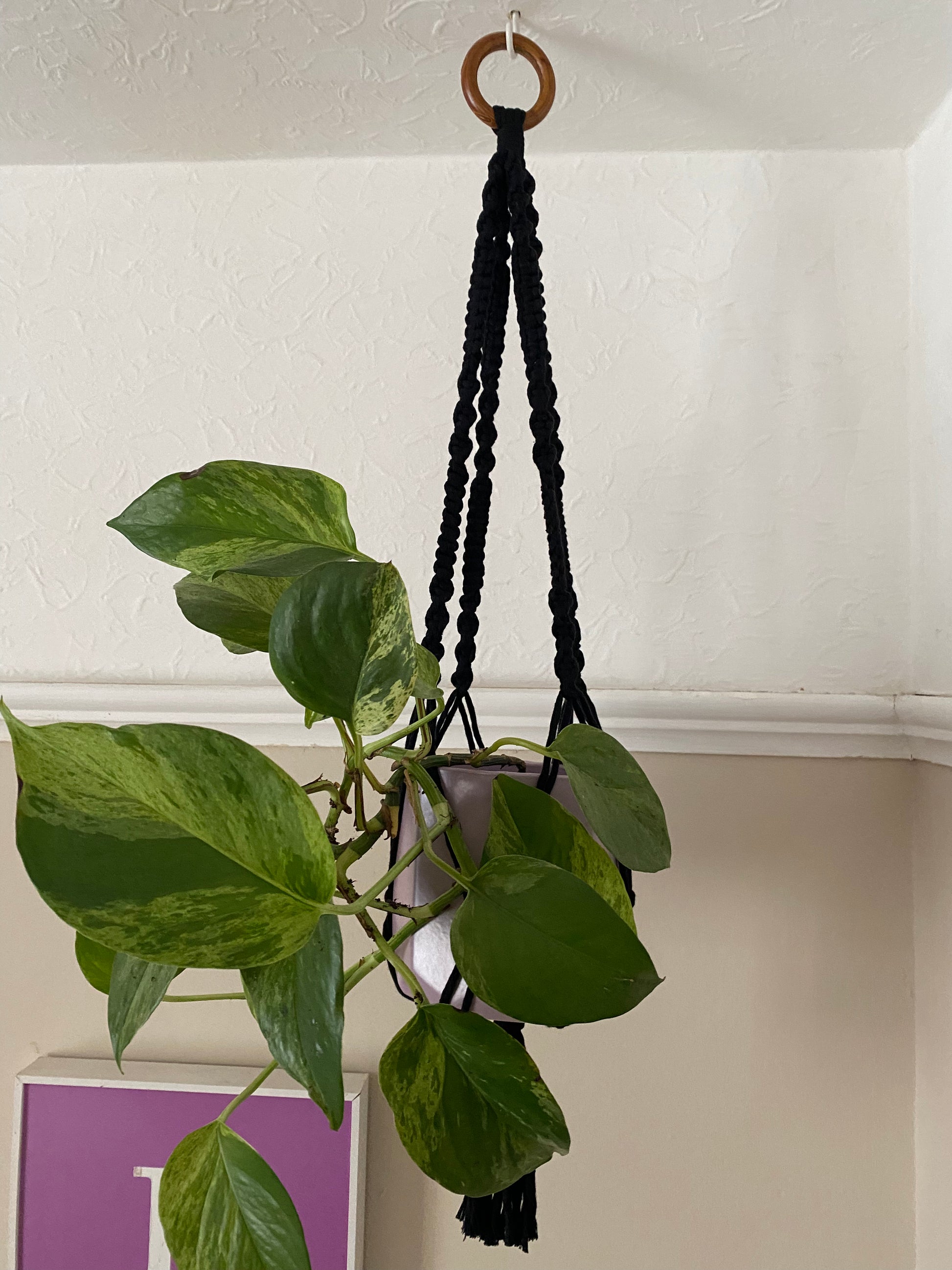 Macra-Made With Love short colourful macrame plant hanger black