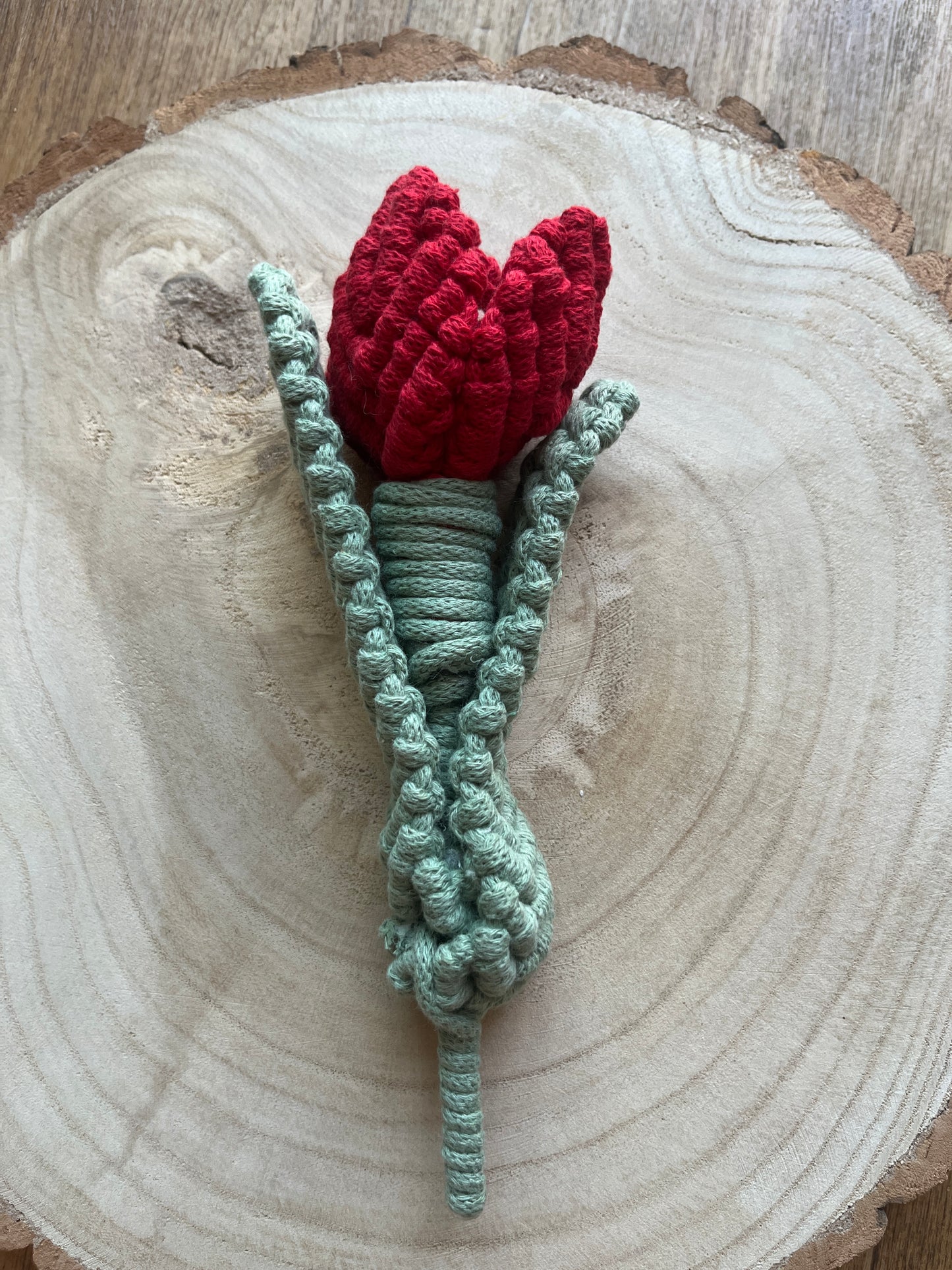 Macramé Tulip Flower Stem Decoration