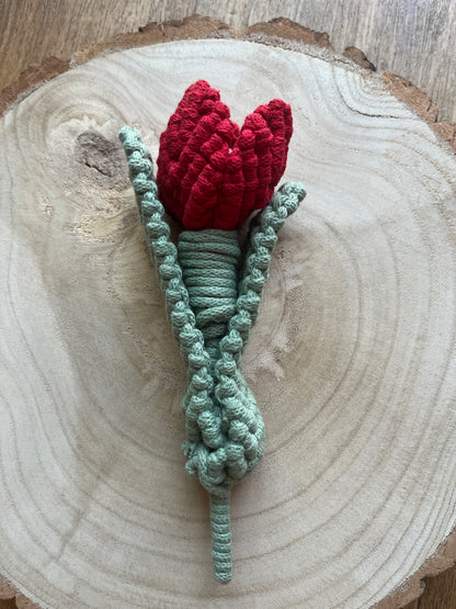 Macramé Tulip Flower Stem Decoration