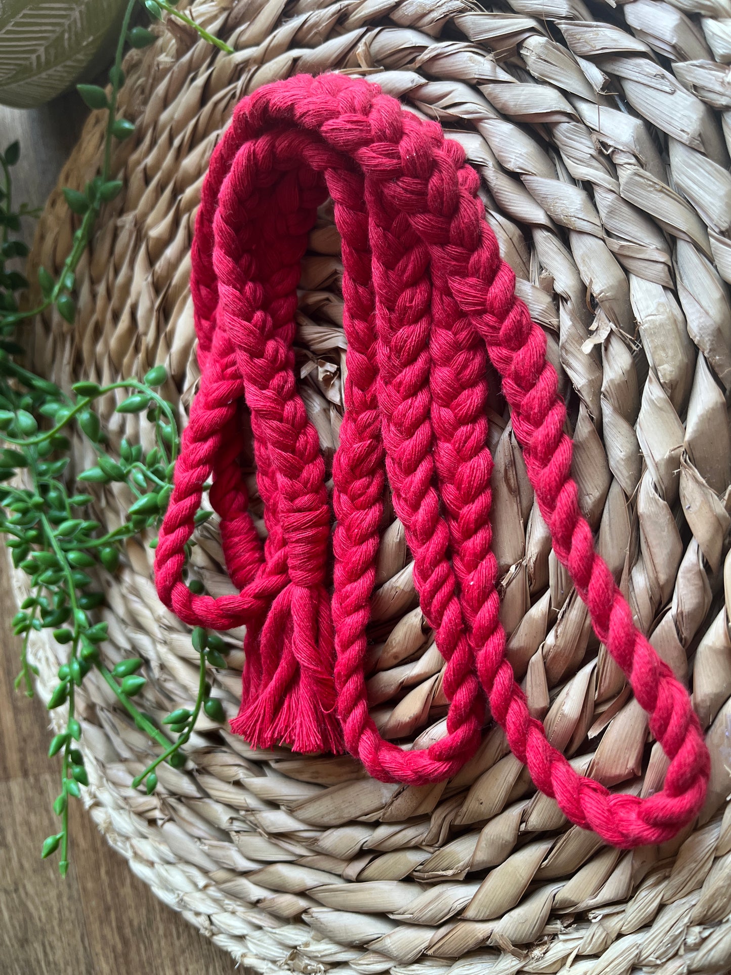 Braided Rope Belt - choice of sizes