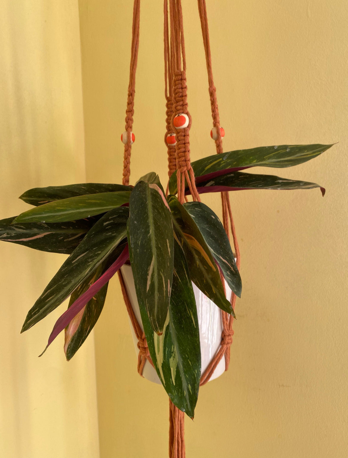 Macrame Plant Hanger with Pumpkin Beads