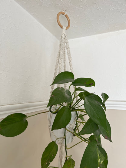 Short Plant Pot Hanger | 50cm