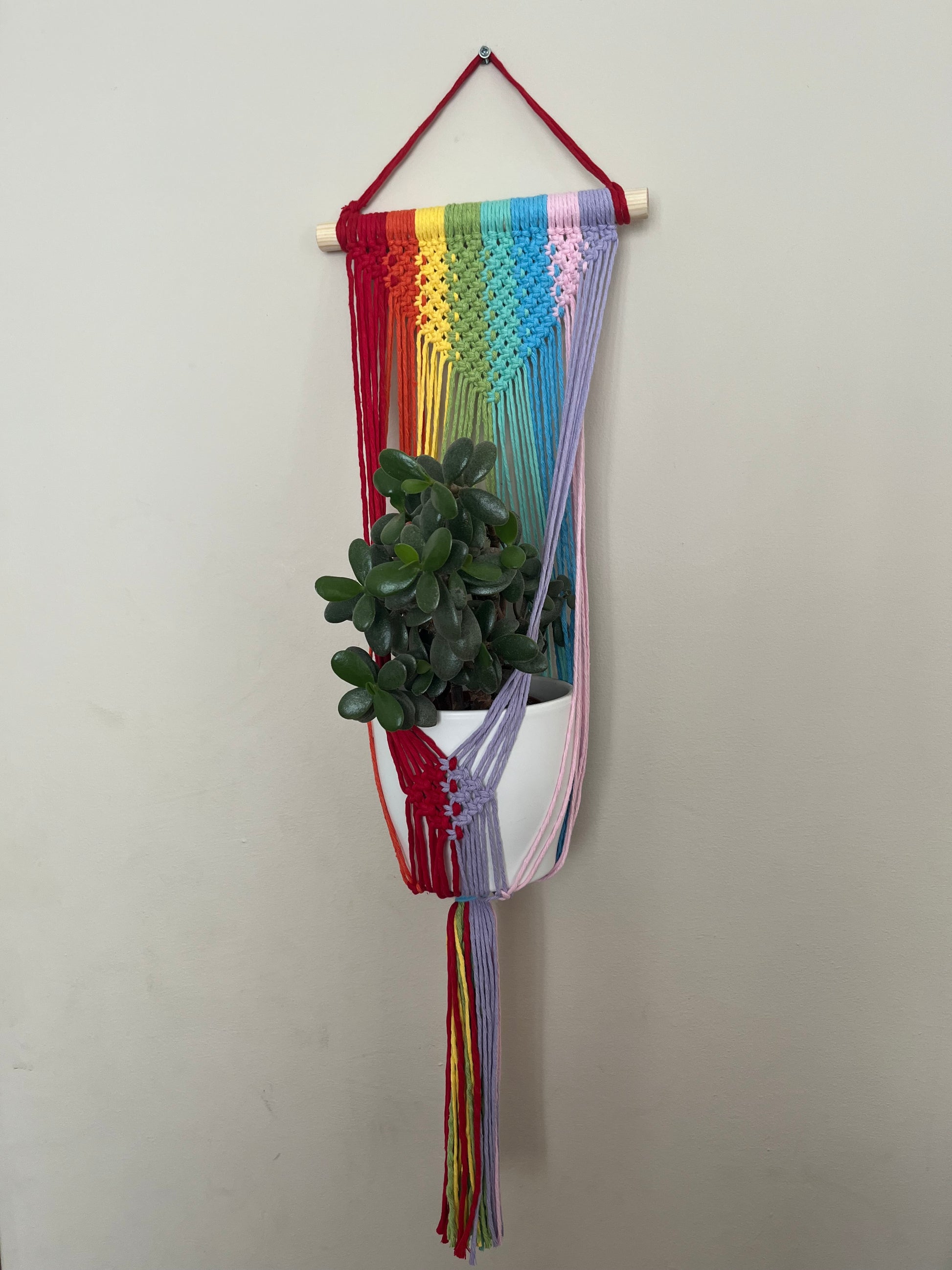 dyed macrame plant hanger Large Rainbow Macramé Plant Hanger – Eco-Friendly Decor – Macra-Made-With-Love