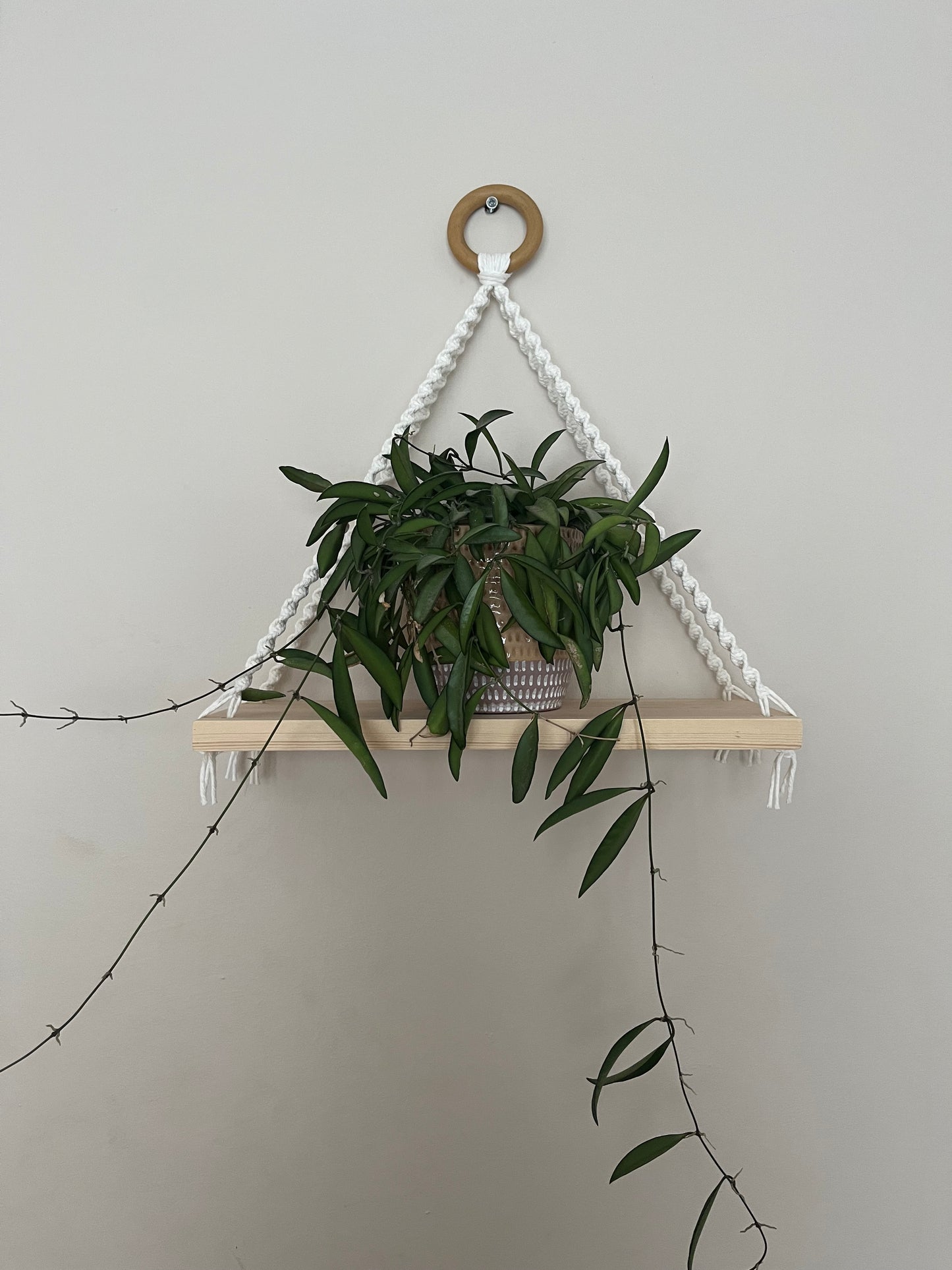 Macrame Rope Shelf