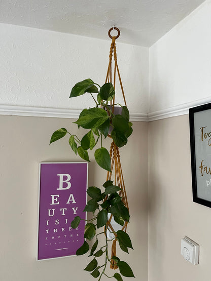 A corner of a room with a hanging plant in a handmade macramé holder. The plant has green, heart-shaped leaves. On the wall, there is a purple and white sign with the words "BEAUTY IS IN THE EYE OF THE BEHOLDER" and another sign with cursive writing. The Double macramé plant hanger from Macra-Made-With-Love is crafted from recycled cotton, making it an eco-friendly gift.