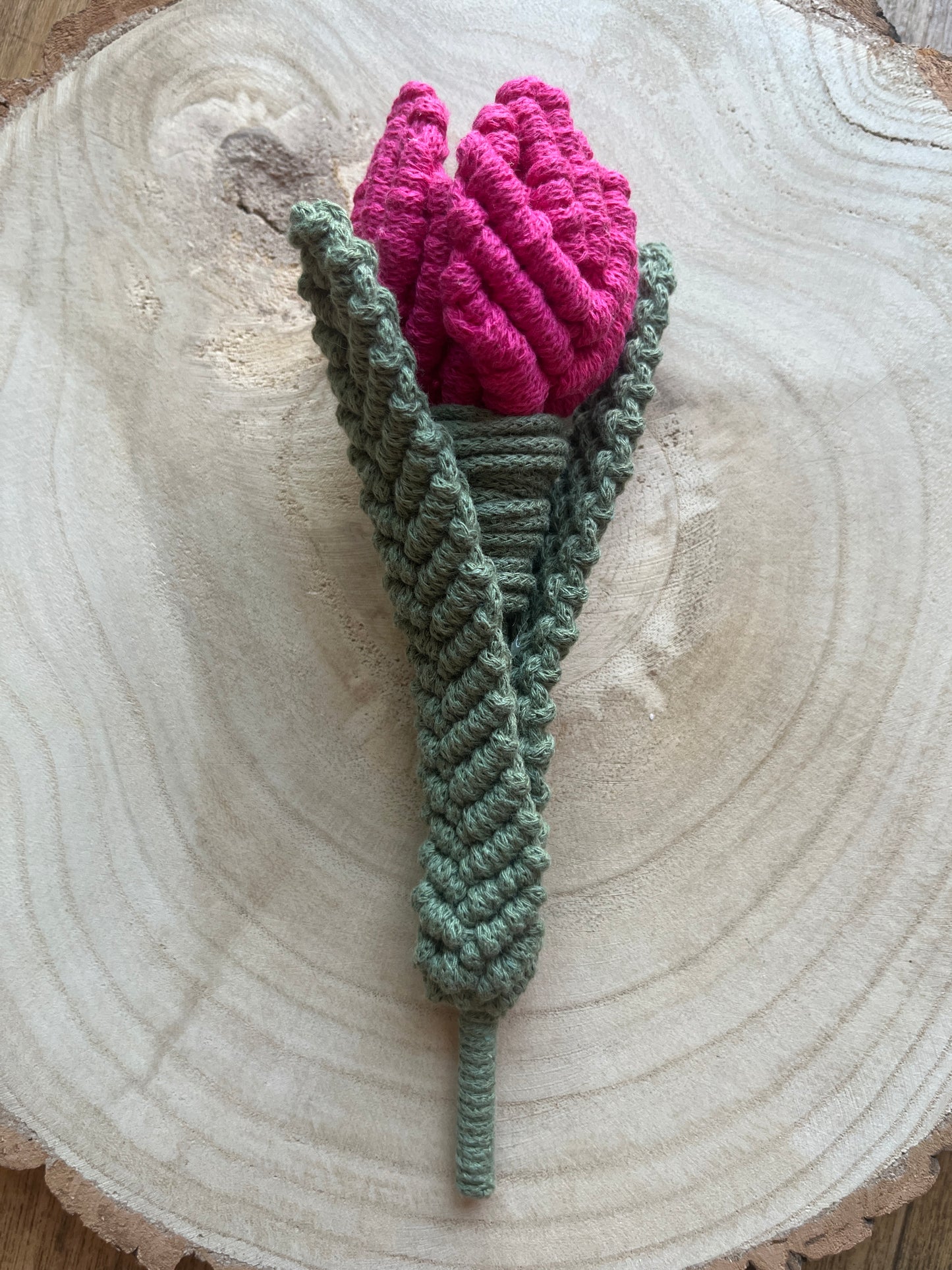 Macramé Tulip Flower Stem Decoration