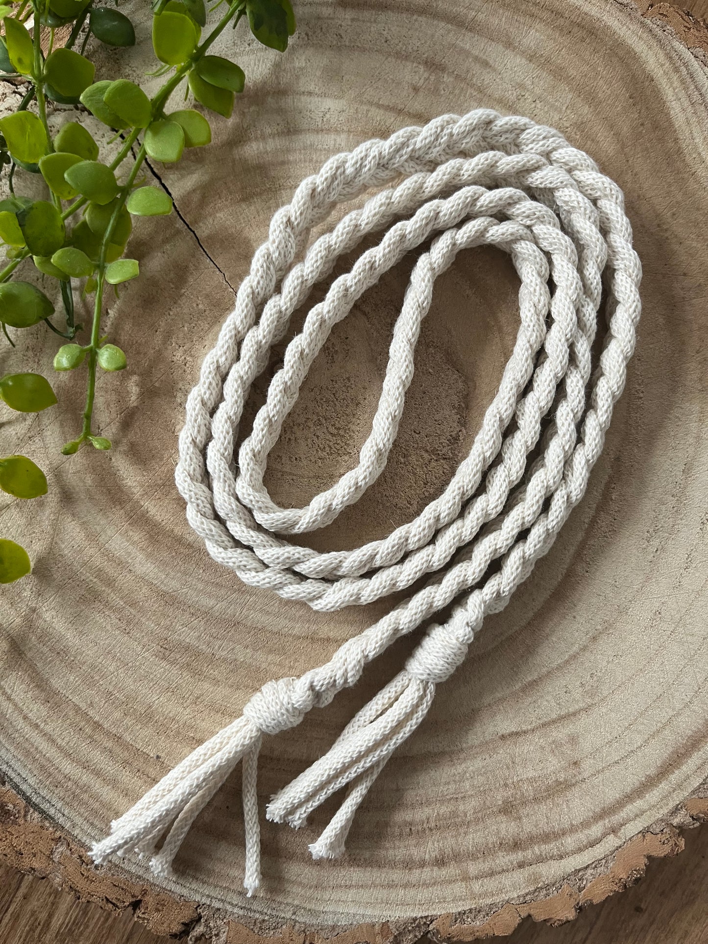 A coiled white, braided rope with tassels at both ends, resembling a handmade Eco friendly braided macrame belt - waist accessory by Macra-Made-With-Love, is neatly placed on a round wooden surface. A small plant with green leaves is positioned at the top left corner of the image.