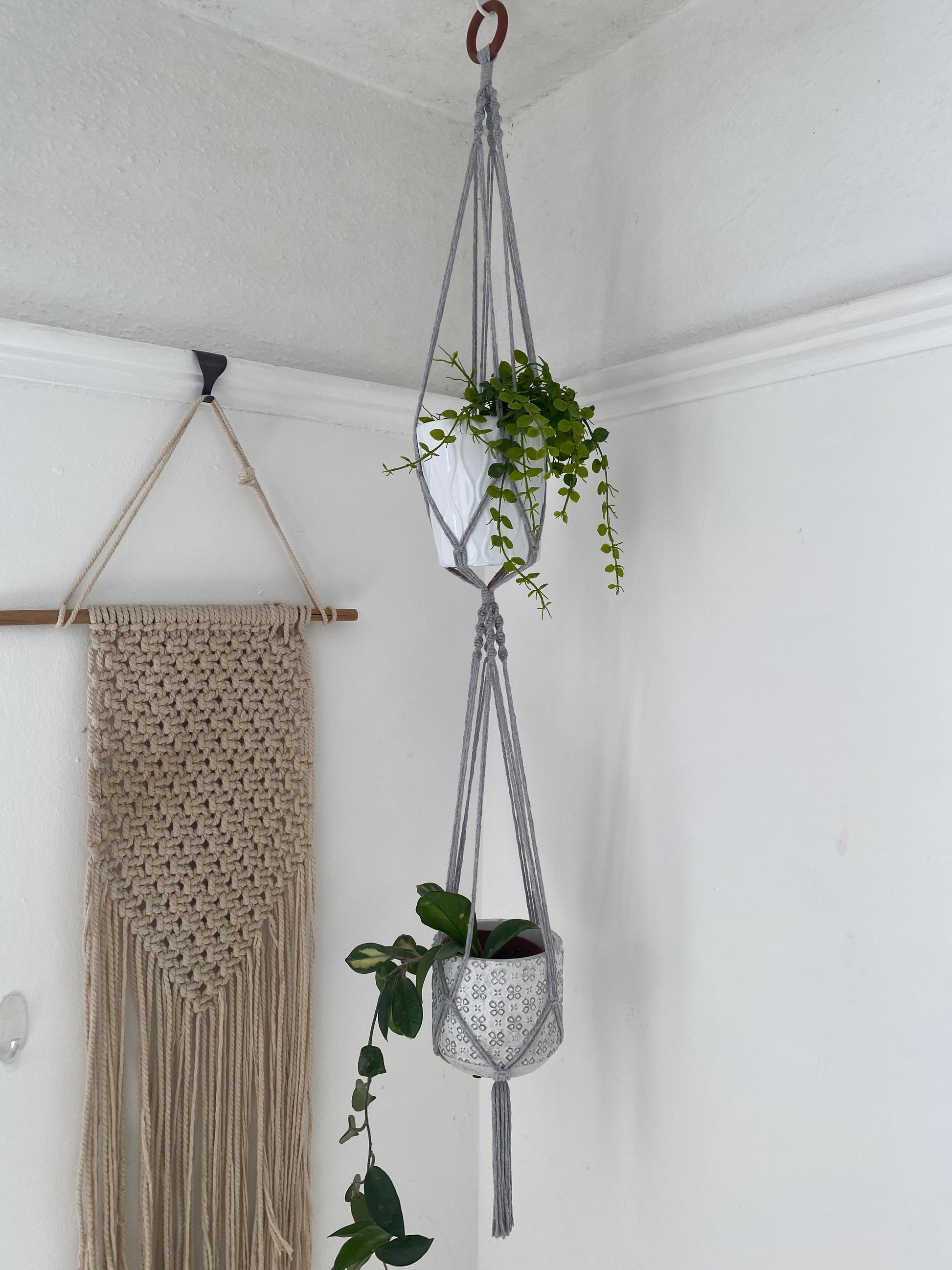 Two trailing plants in ceramic pots, suspended vertically in a large double macramé plant hanger, made with light grey yarn and a wooden hanging ring, in the corner of a room with white walls. There is a large macrame wall hanging on the wall nearby. 