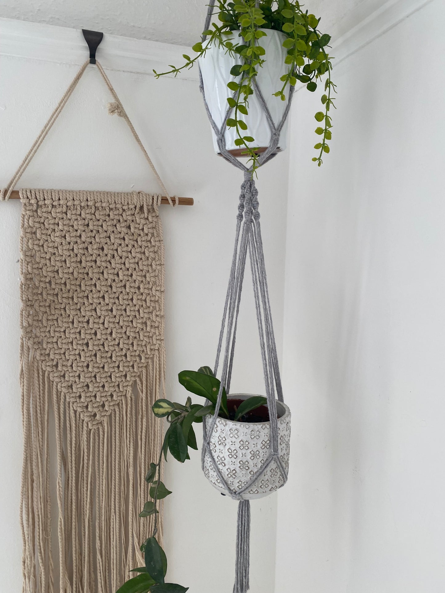 Close up of two green plants in ceramic pots, suspended vertically in a large double macramé plant hanger, made with light grey yarn in the corner of a room with white walls. There is a macrame wall hanging in the background. 