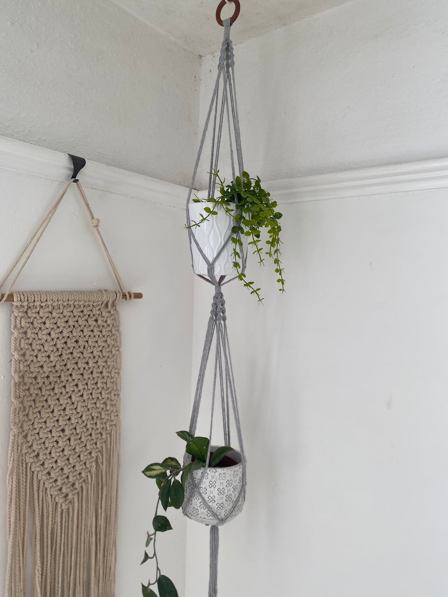 Two green plants in ceramic pots, suspended vertically in a large double macramé plant hanger, made with light grey yarn and a wooden hanging ring, in the corner of a room with white walls. There is a macrame wall hanging in the background. 