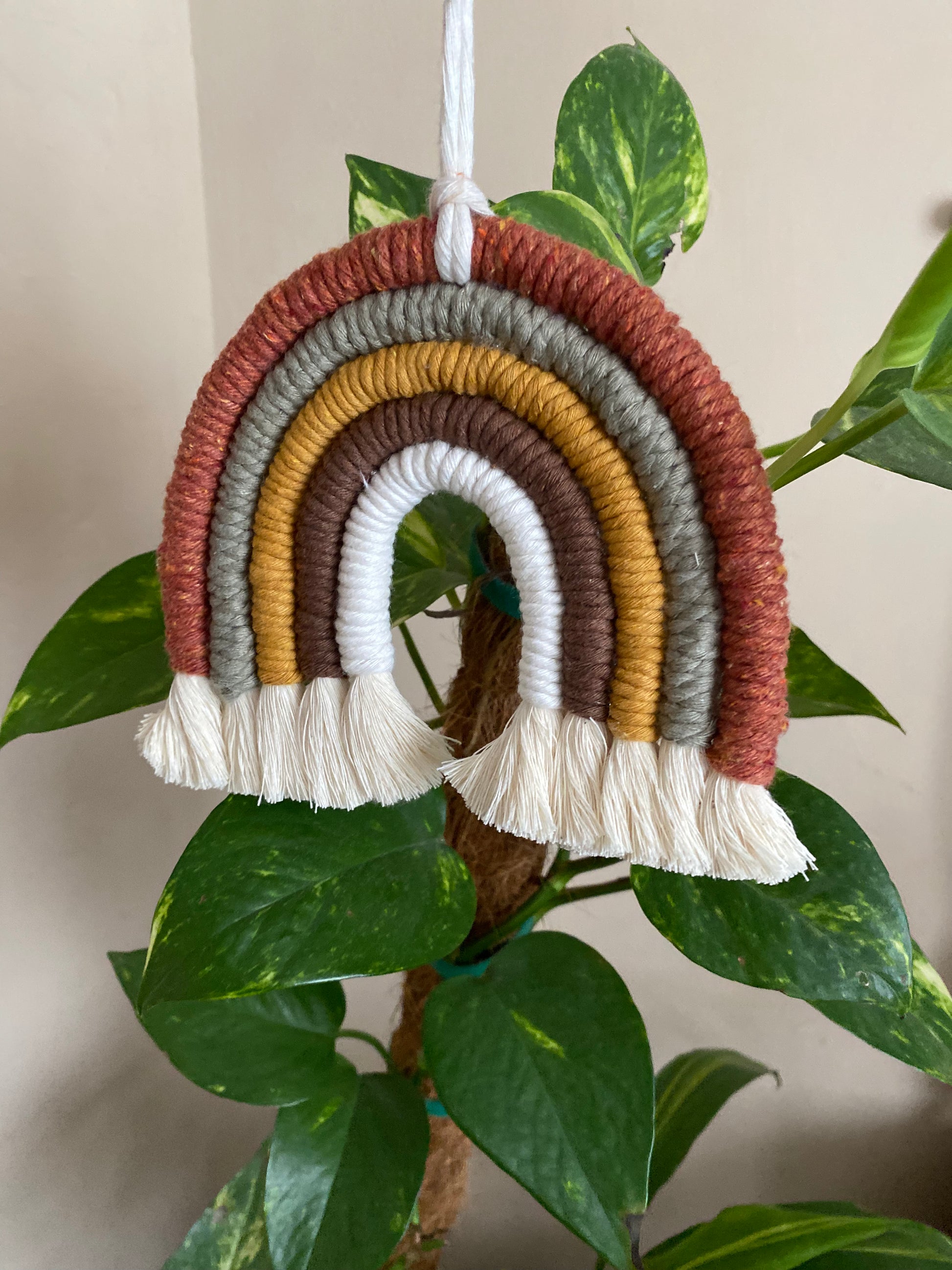 A handmade macrame rainbow, in earthy brown, mustard, green tones, with natural fringed ends, hanging in front of a tall green plant.