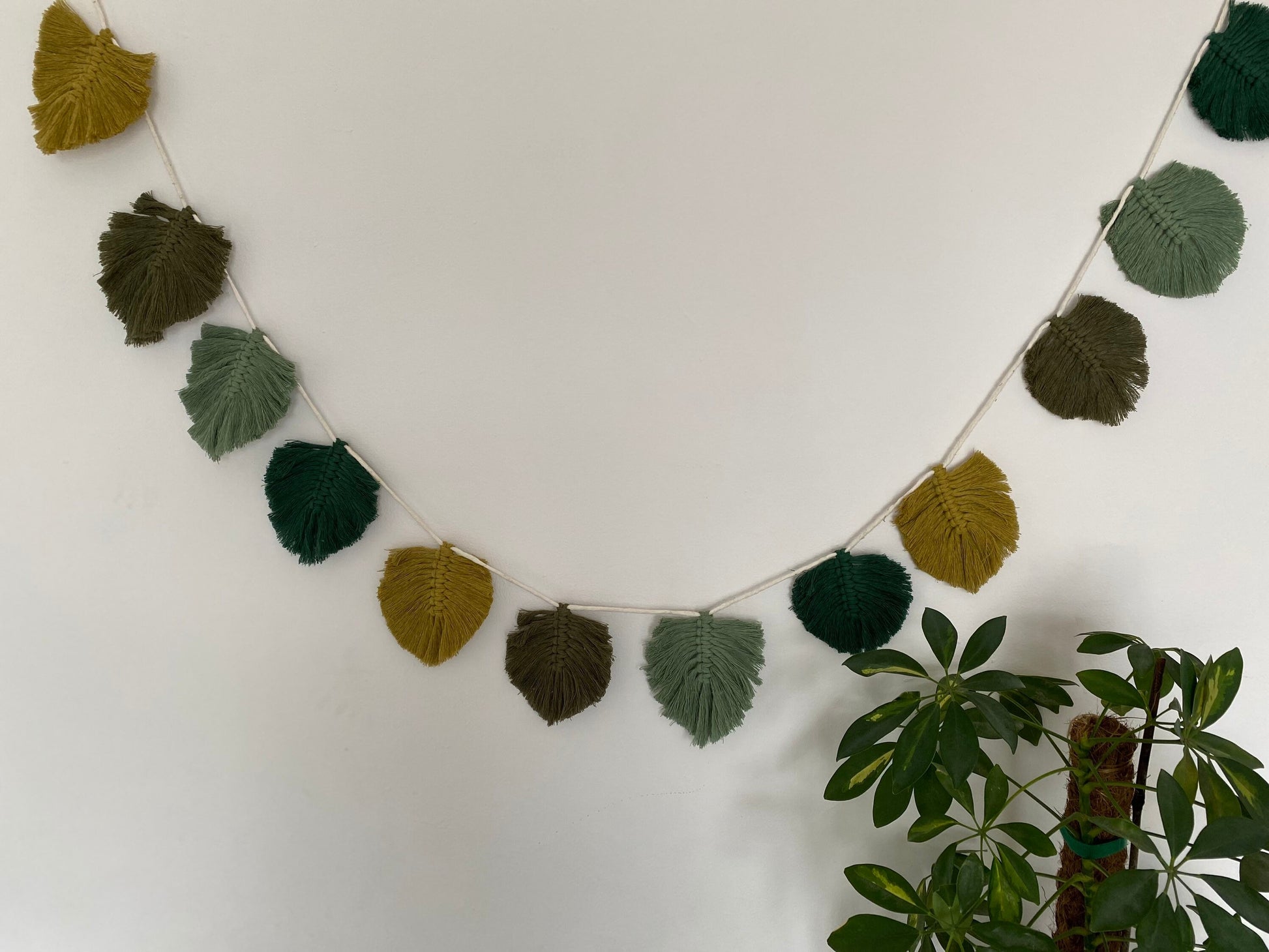 A handmade Macra-Made-With-Love 100% cotton Autumn leaf garland - wall decor 180cm made of leaf-shaped fabric pieces in shades of green and yellow hangs against a white wall. An eco-friendly decor choice, it pairs beautifully with a green potted plant with broad leaves placed to the right side of the image, adding a natural element to the scene.