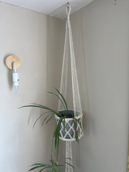 Green spider plant in a long macrame basket style holder against a beige wall with a light fixture.