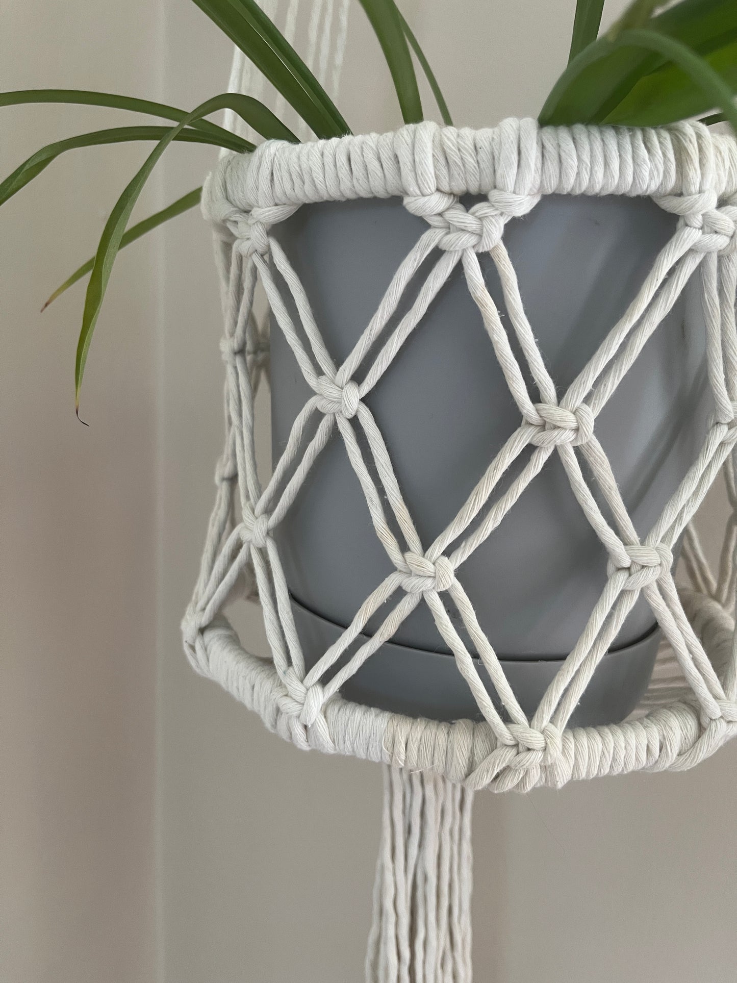 Macrame plant hanger holding a green plant in a grey plant pot against a neutral background