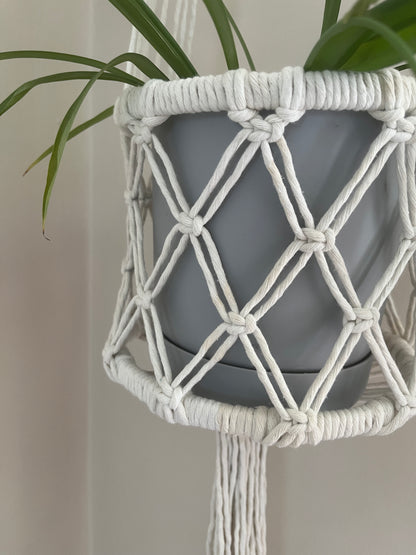 Macrame plant hanger holding a green plant in a grey plant pot against a neutral background