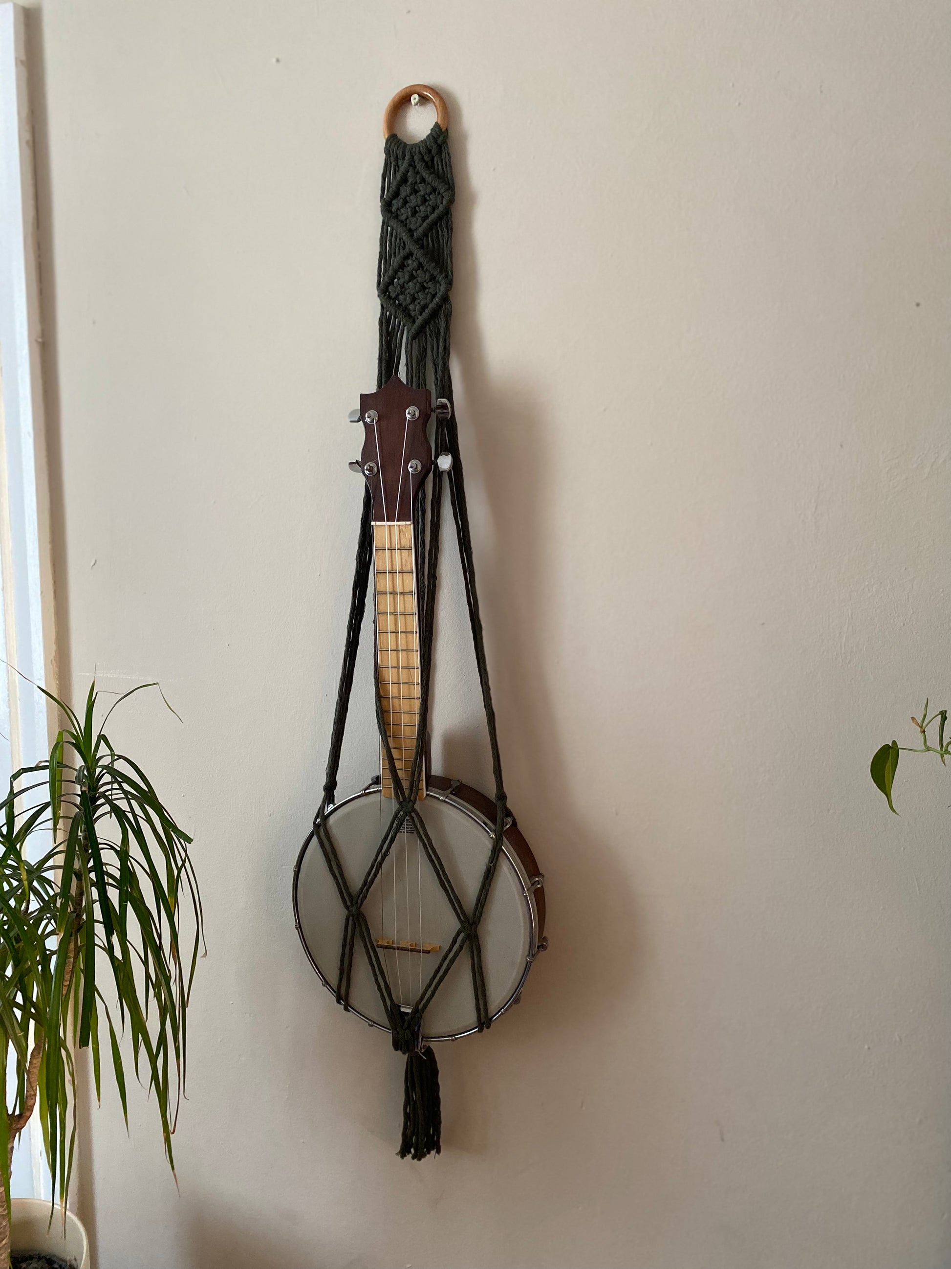 A banjolele instrument sits securely in a macrame wall mounted hanger, made with dark olive green coloured yarn and a wooden hanging ring. Displayed against a beige painted wall next to a tall houseplant.