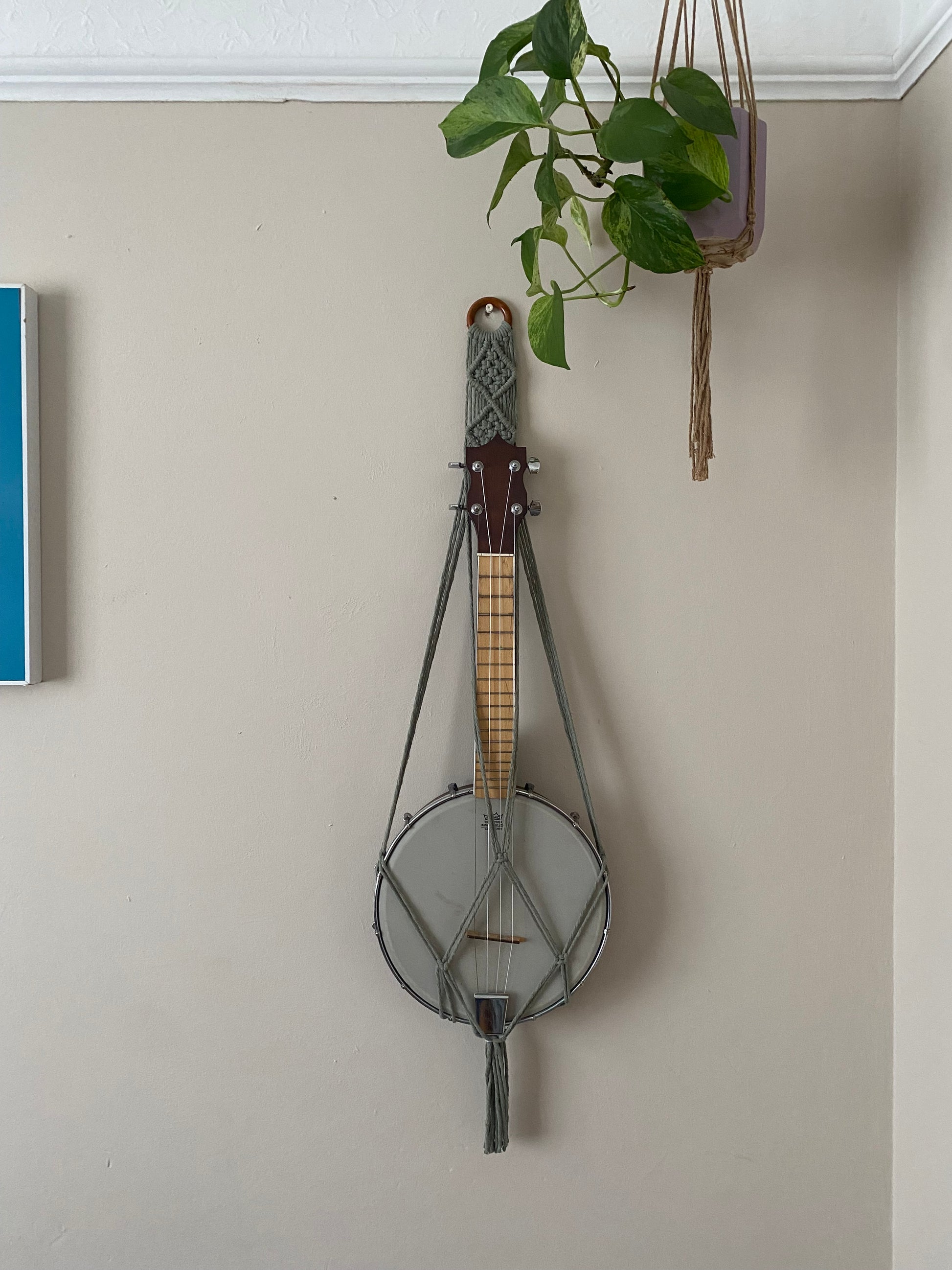 A banjolele instrument sits securely in a macrame wall mounted hanger, made with sage green coloured yarn and a wooden hanging ring. Displayed against a beige painted wall, under a hanging houseplant.