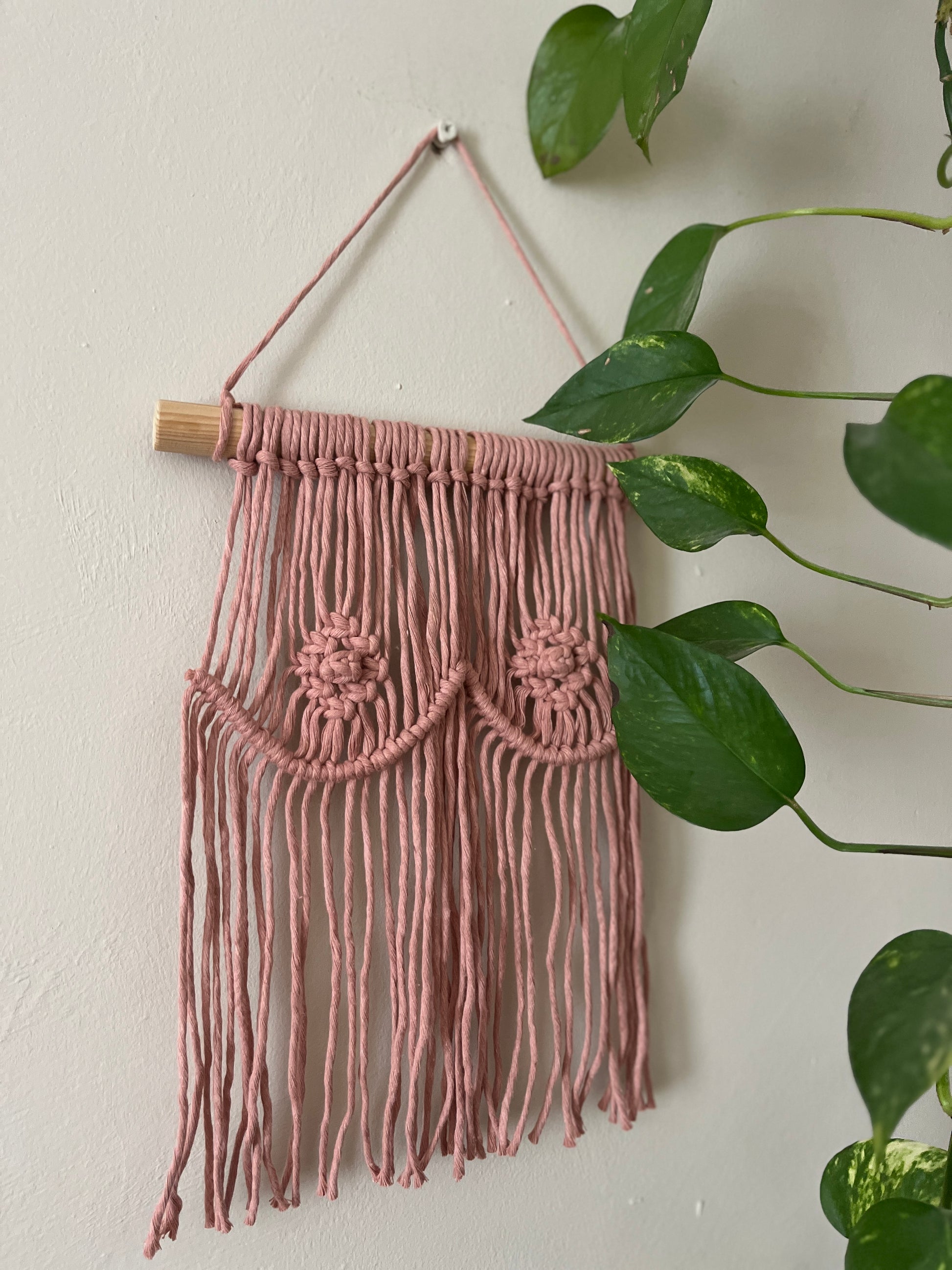 A macrame wall hanging representing boobs, made with blush pink yarn on a wooden dowel, hanging on a beige wall next to a long trailing plant. 