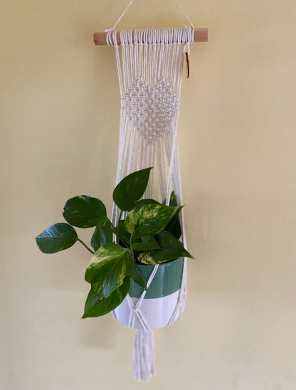 A green trailing plant hangs in a natural coloured macrame wall hanging plant holder with knotted heart detail on a wooden dowel against a pale yellow painted wall.