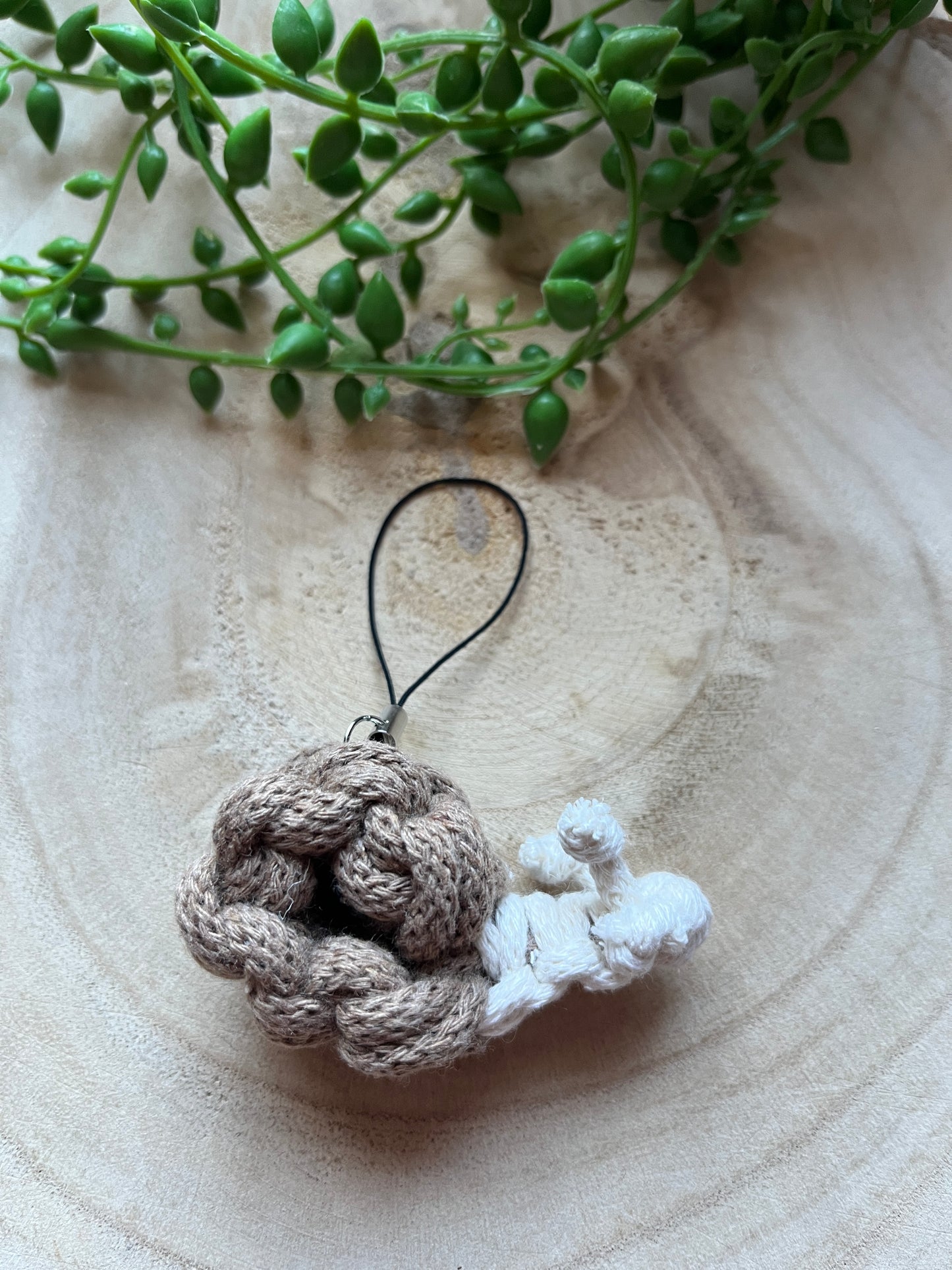 Knotted snail with a black string on a wooden surface with green leaves.