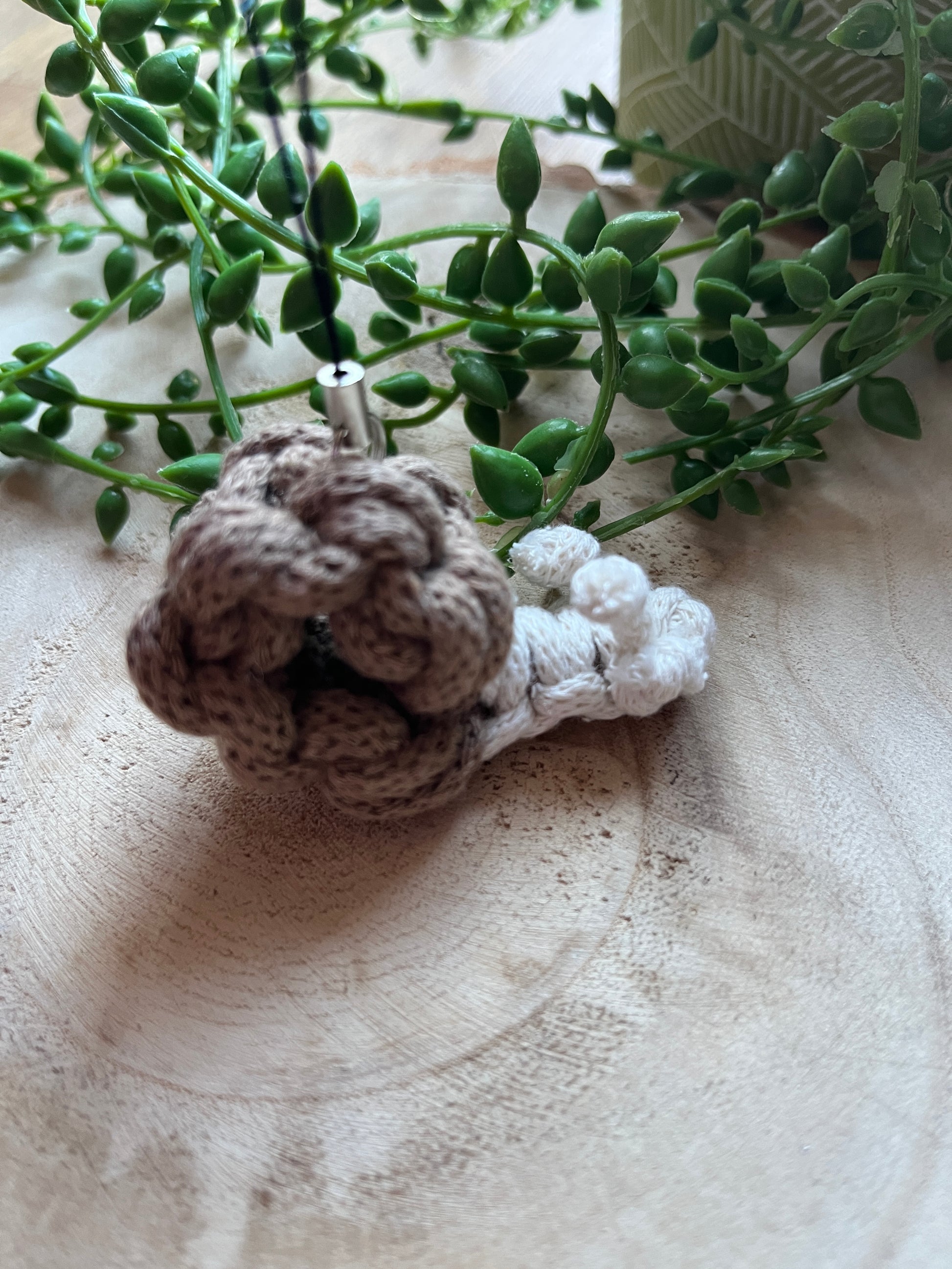 Macrame snail charm on a wooden surface with green leaves in the foreground