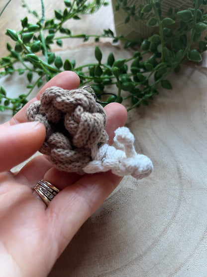 Hand holding a small knotted snail with green plants in the background