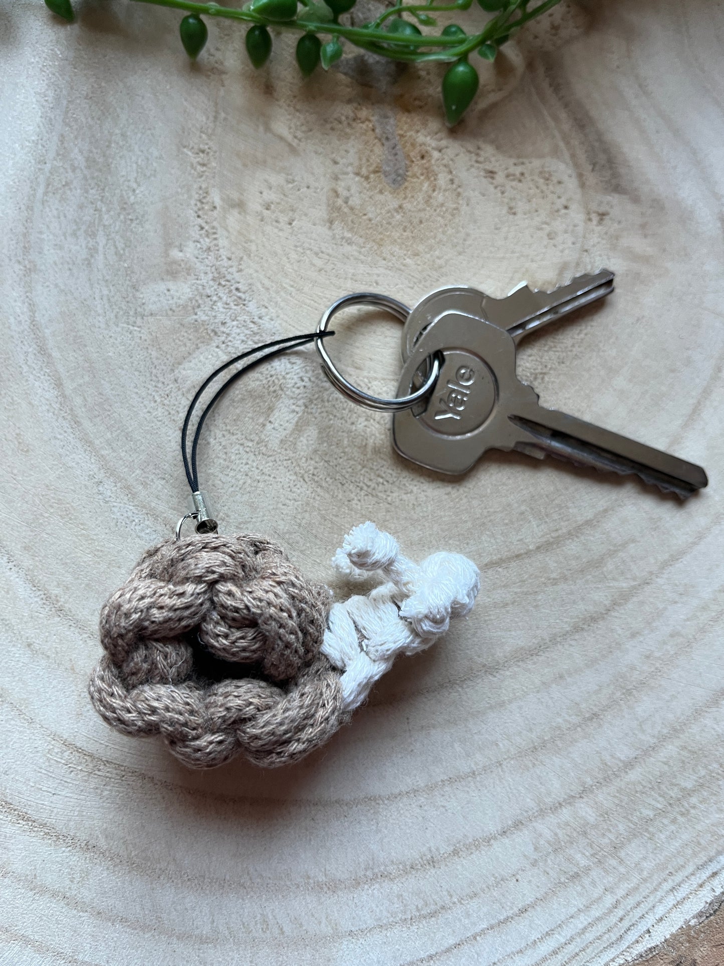 Snail keychain with keys attached on a wooden surface