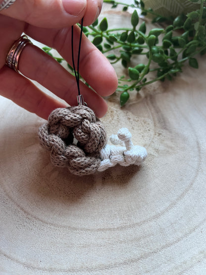 Hand holding a macrame snail with a plant in the background