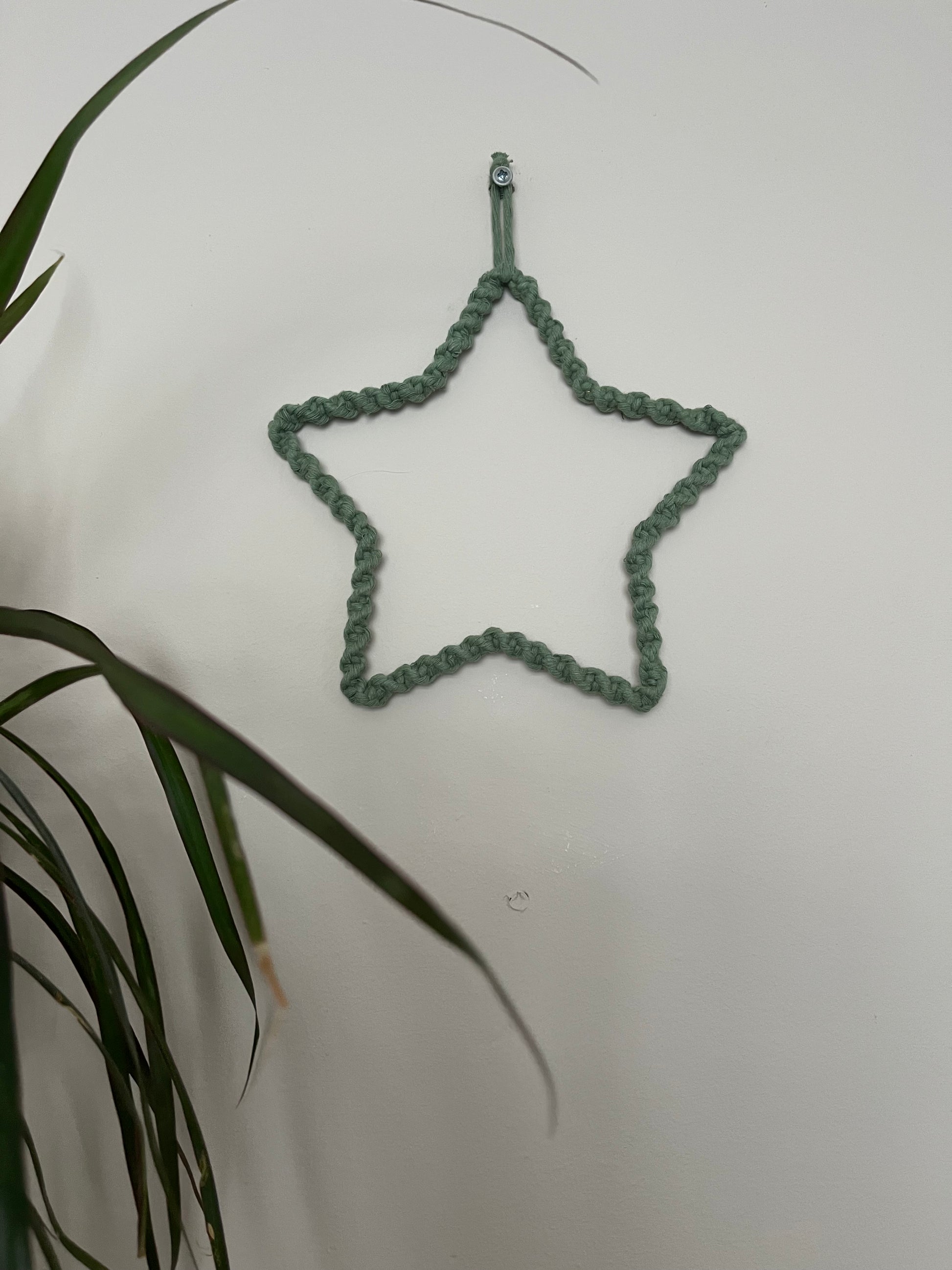 Star shaped wall hanging, wrapped in green cotton with a twisted knot pattern, hanging on a beige wall. There is a green houseplant in the bottom left of the image. 