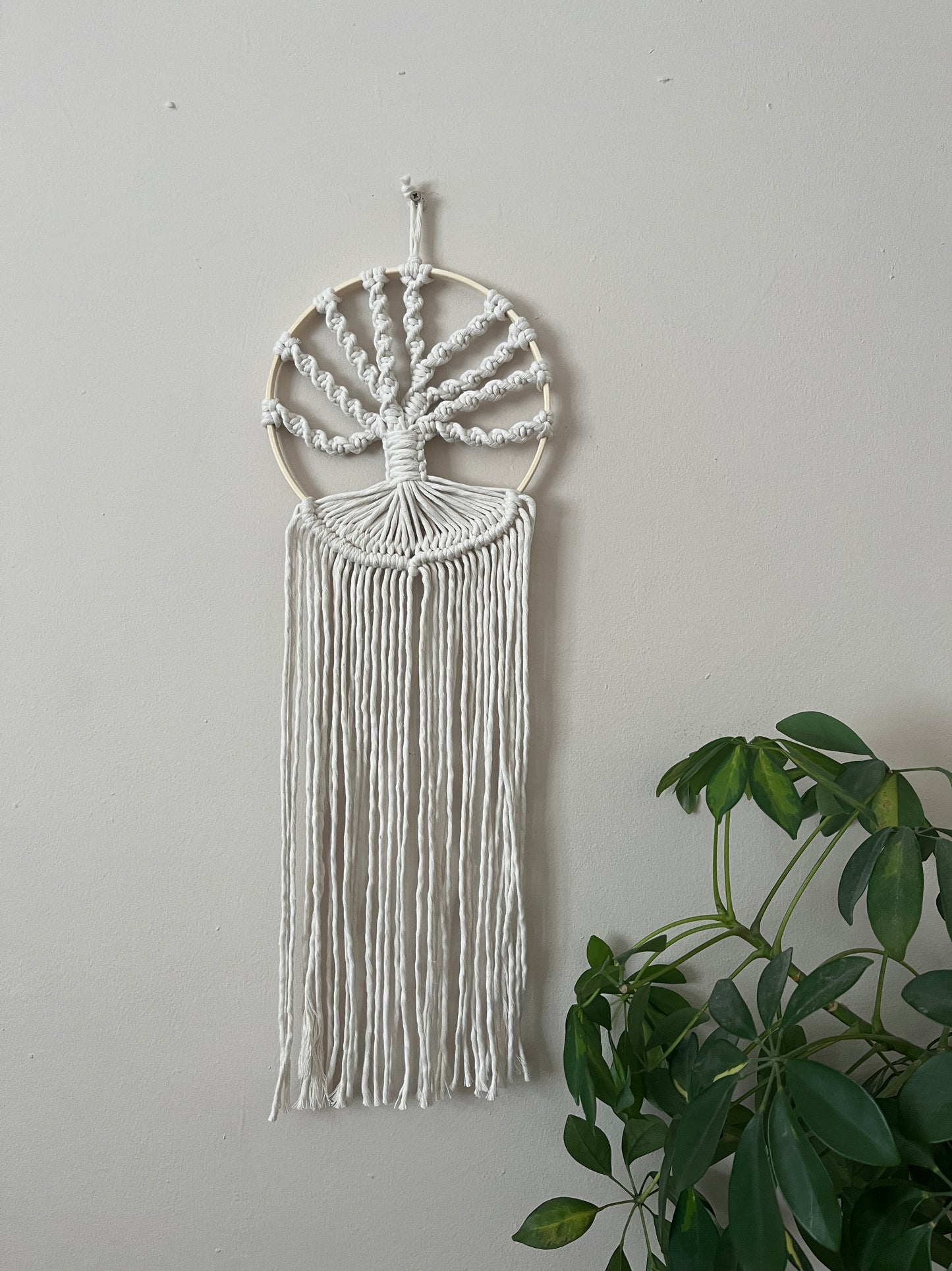 A macrame tree of life wall hanging made on a circular wooden hoop with natural knotted yarn, hanging against a beige painted wall next to a large green houseplant.