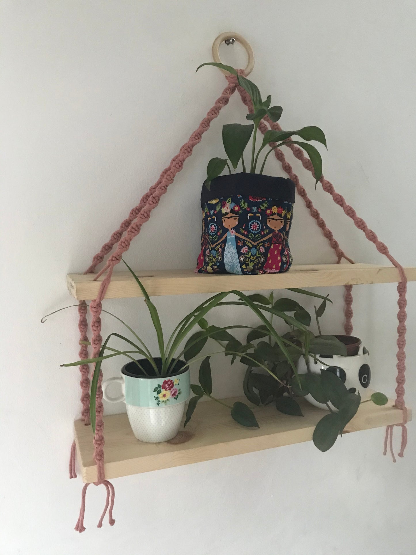 A set of macrame shelves, made with two solid wood shelf pieces, suspended by blush pink coloured knotted yarn, on a wooden hanging ring, hanging against a white painted wall. There are 3 leafy houseplants displayed on the shelves. 